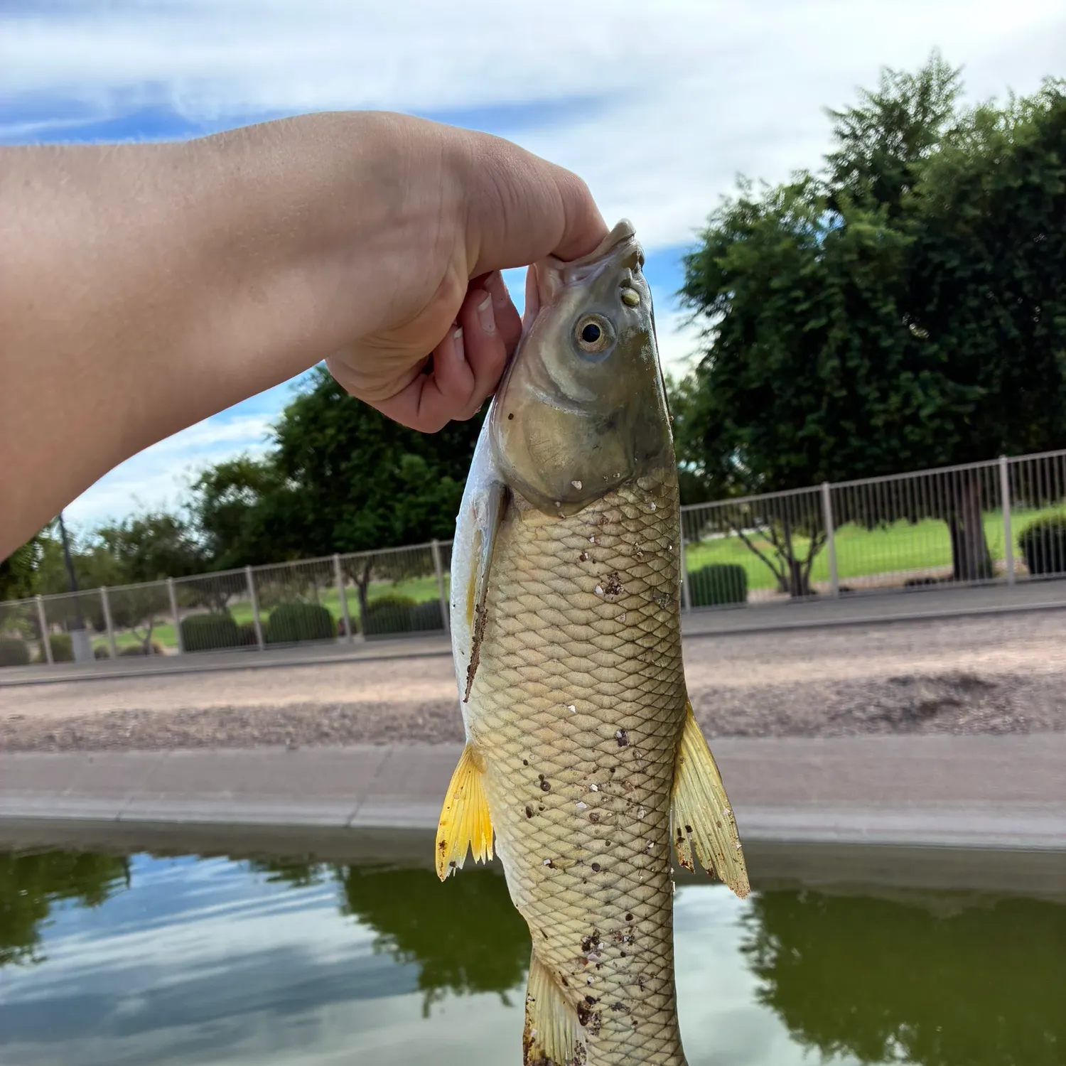 catch