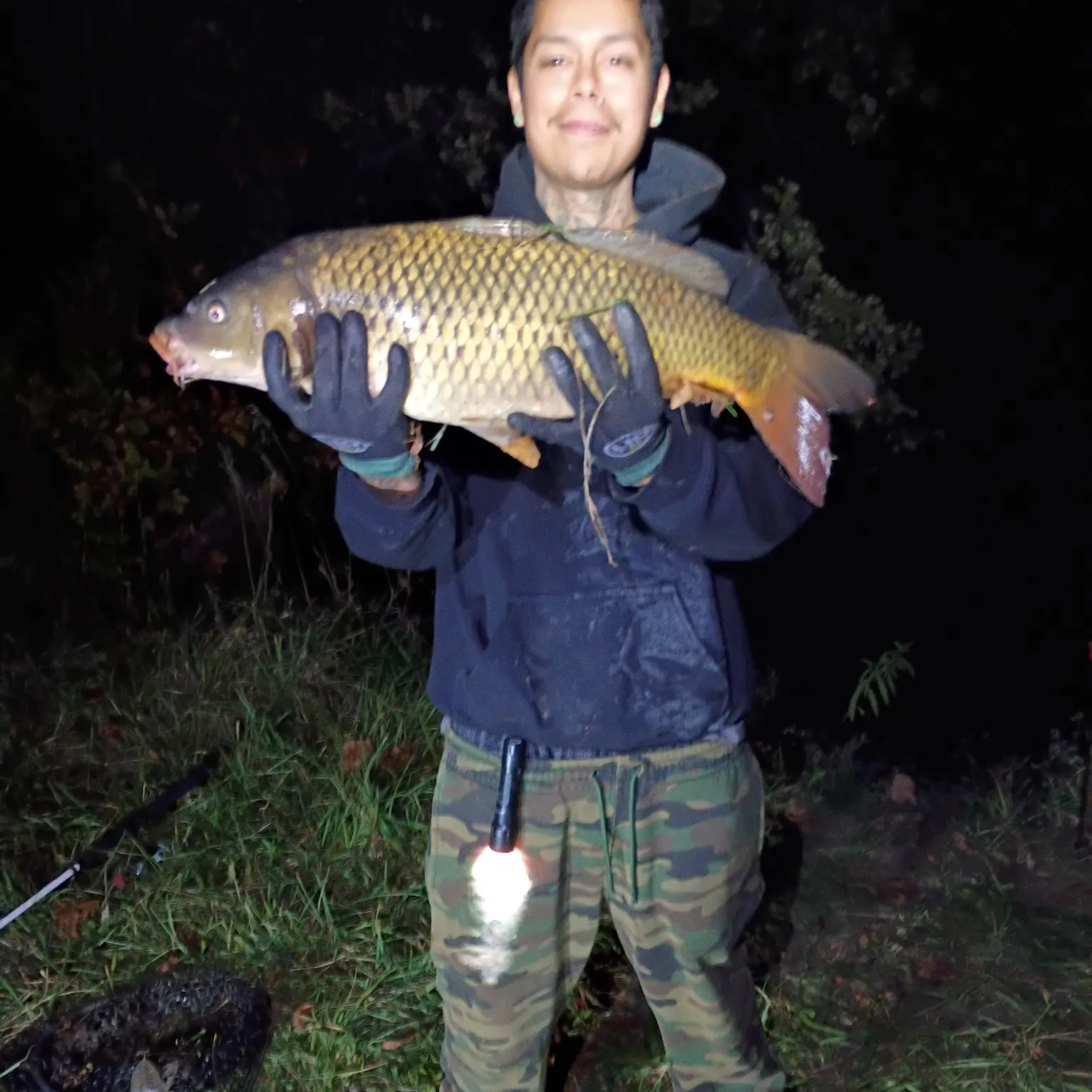 Common carp caught on Fishbrain