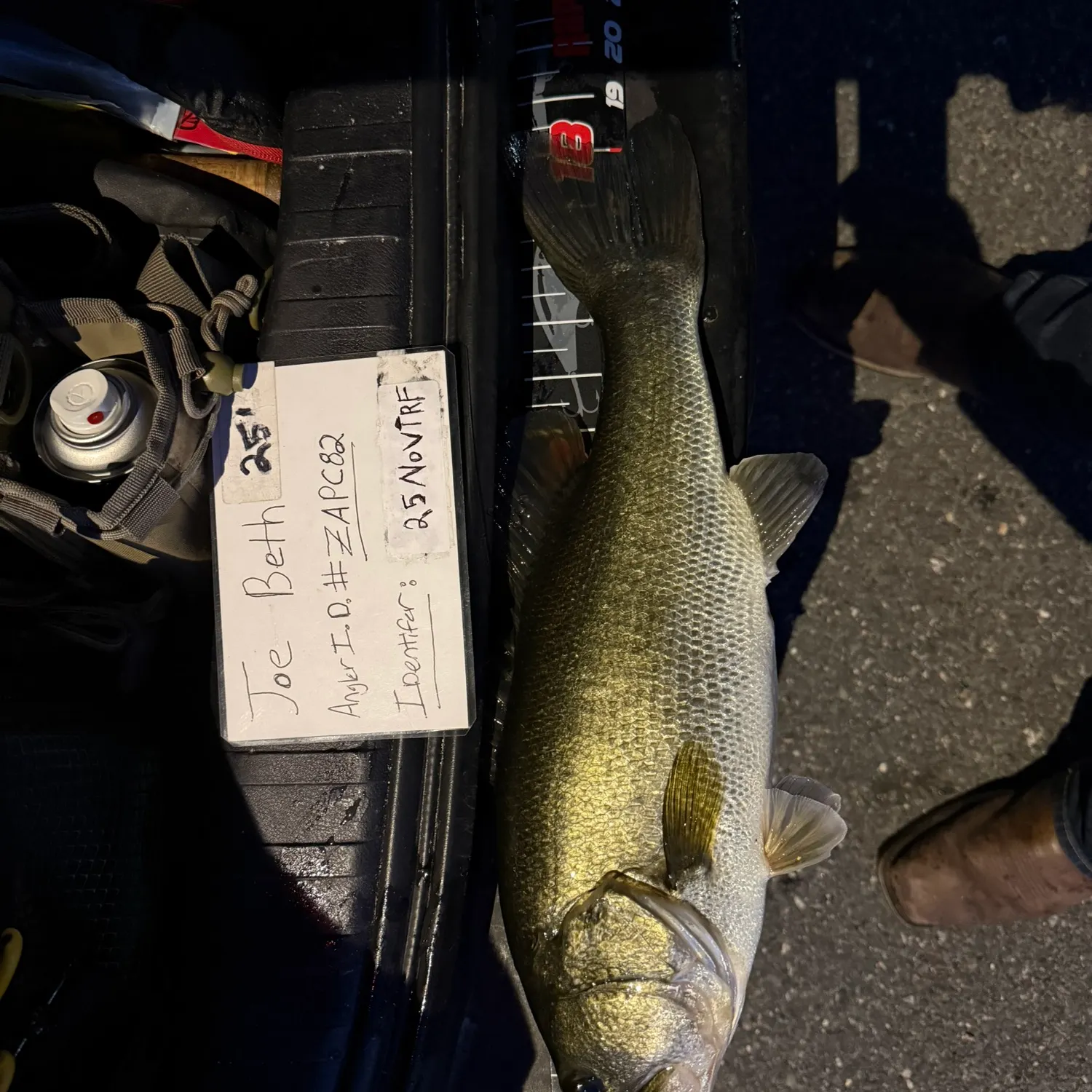 recently logged catches