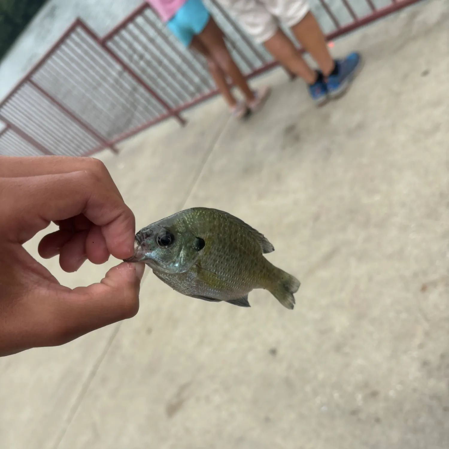 catch