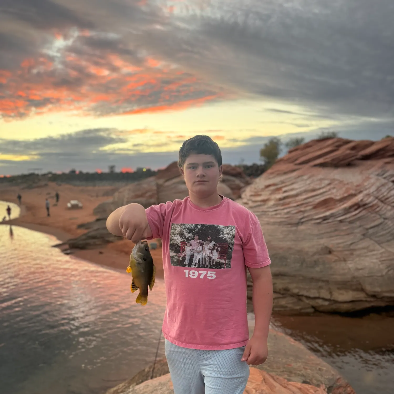 Green sunfish caught on Fishbrain