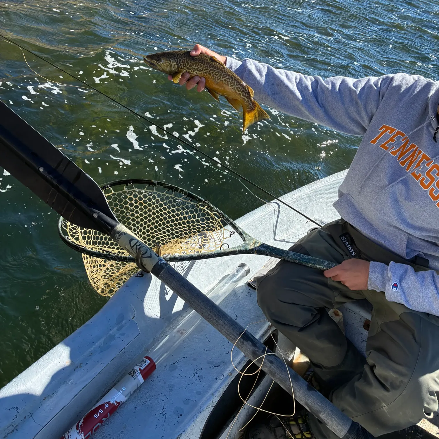 Tiger trout caught on Fishbrain
