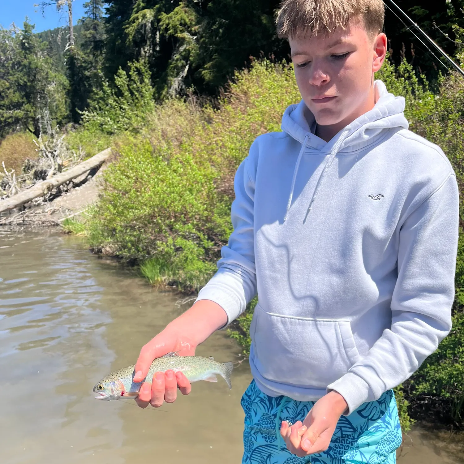 recently logged catches