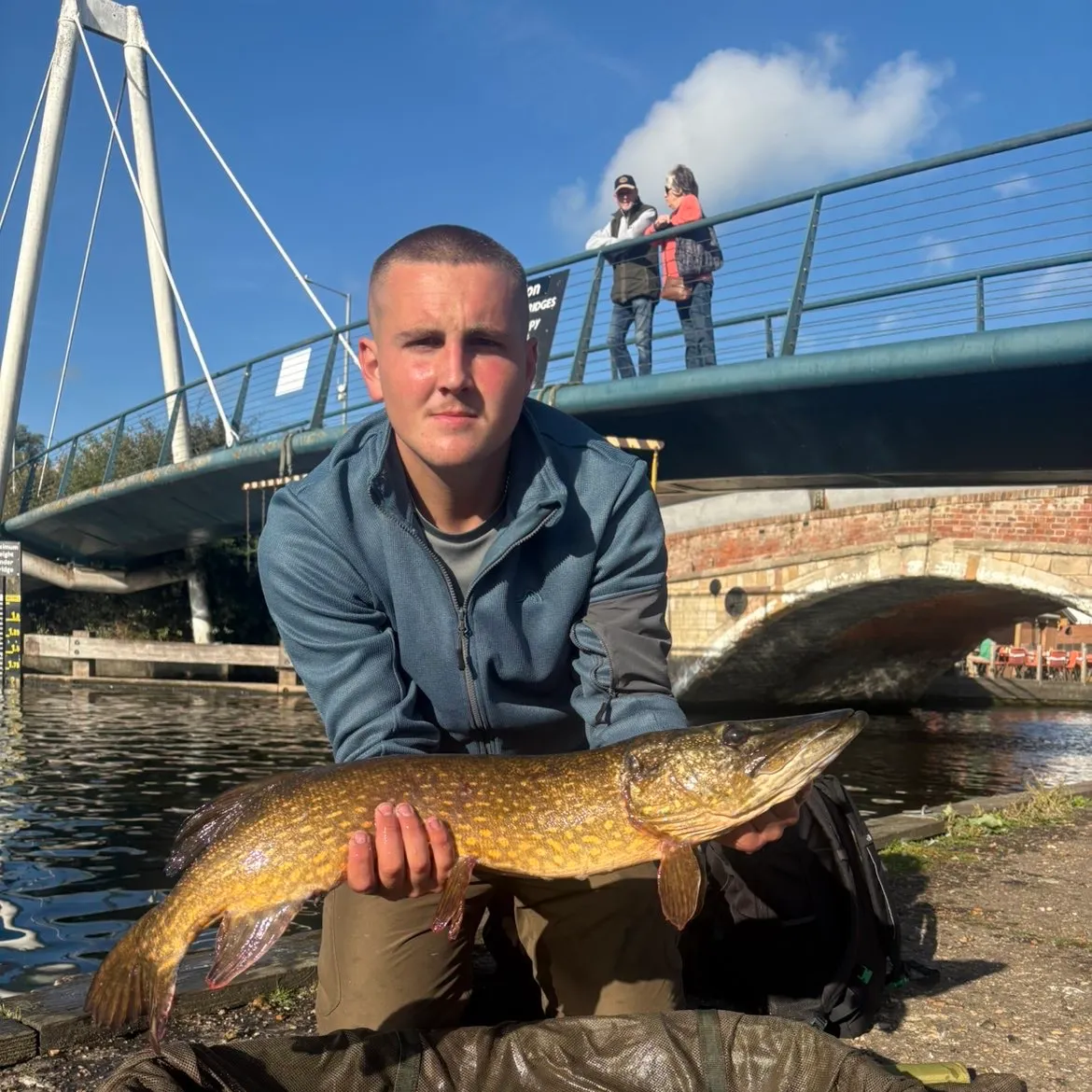 Northern pike caught on Fishbrain