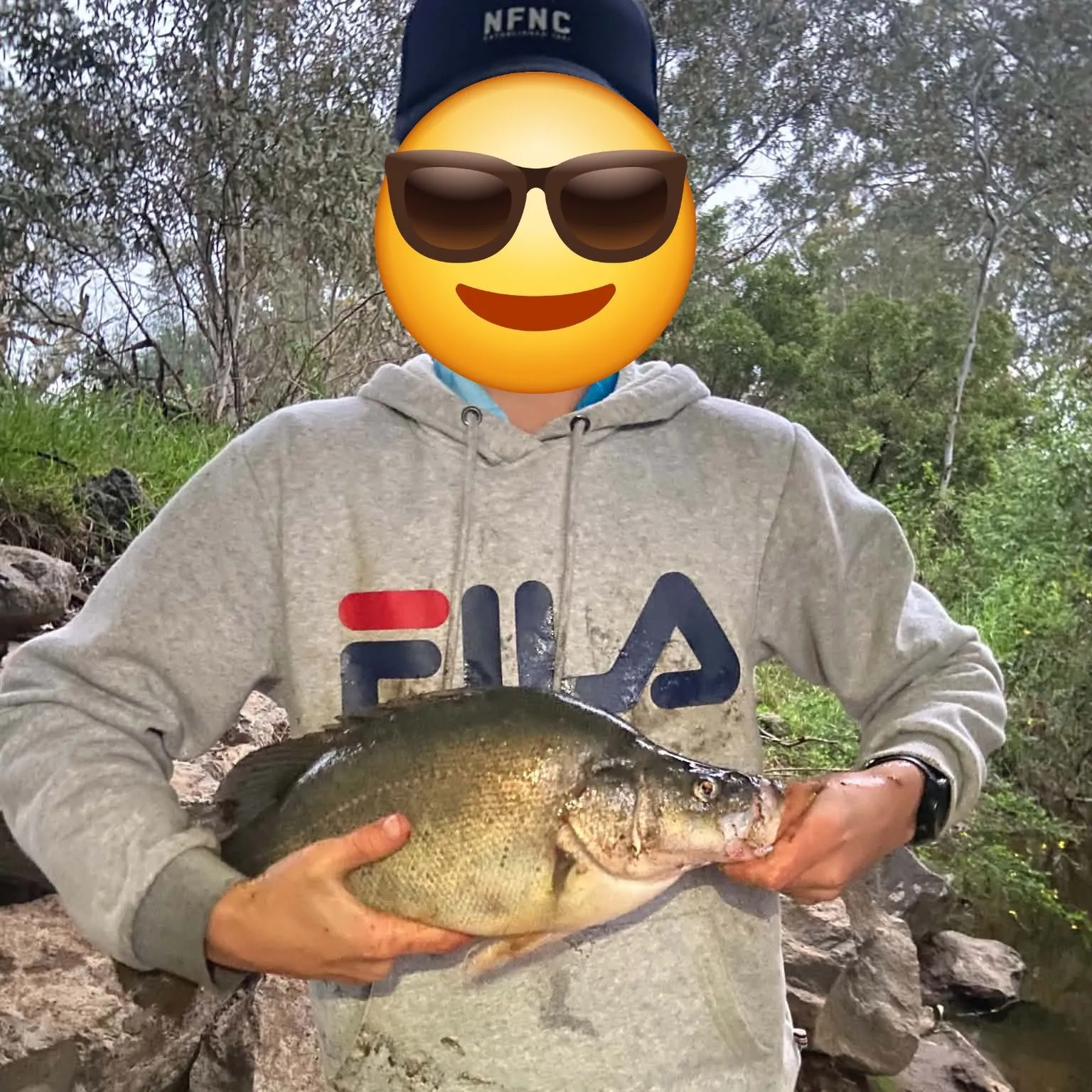 Golden perch caught on Fishbrain