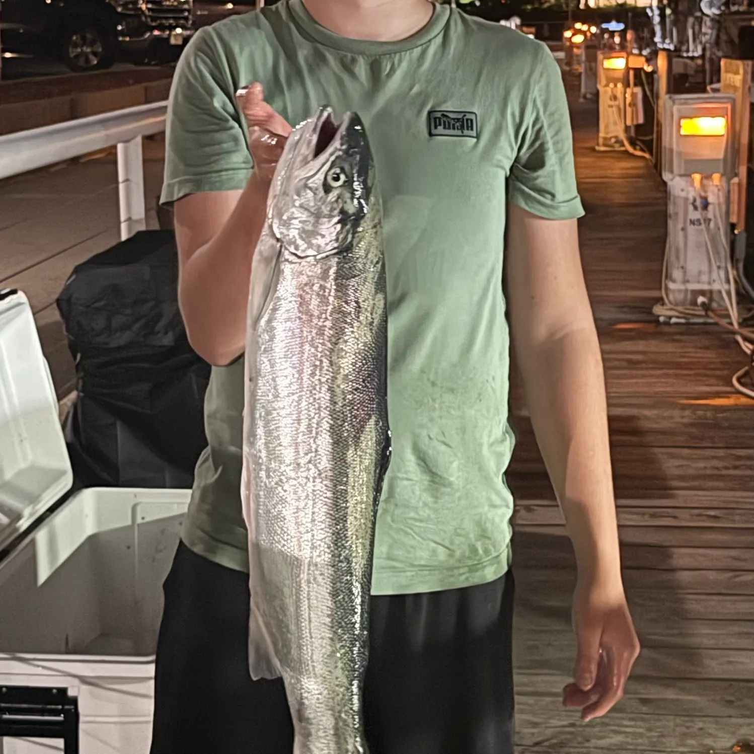 Rainbow trout caught on Fishbrain