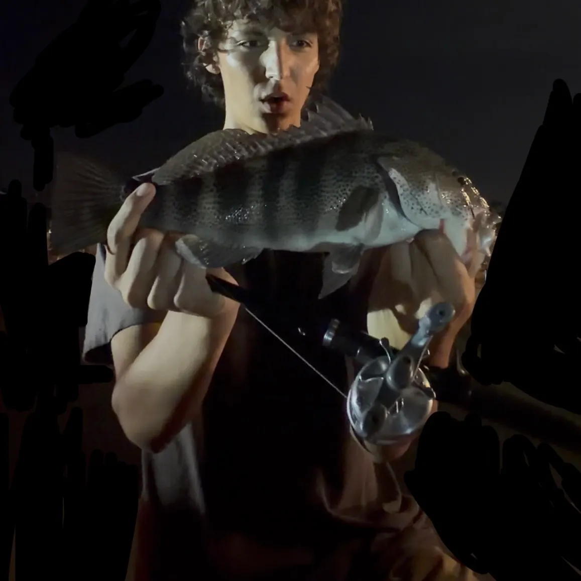 Spotted sand bass caught on Fishbrain