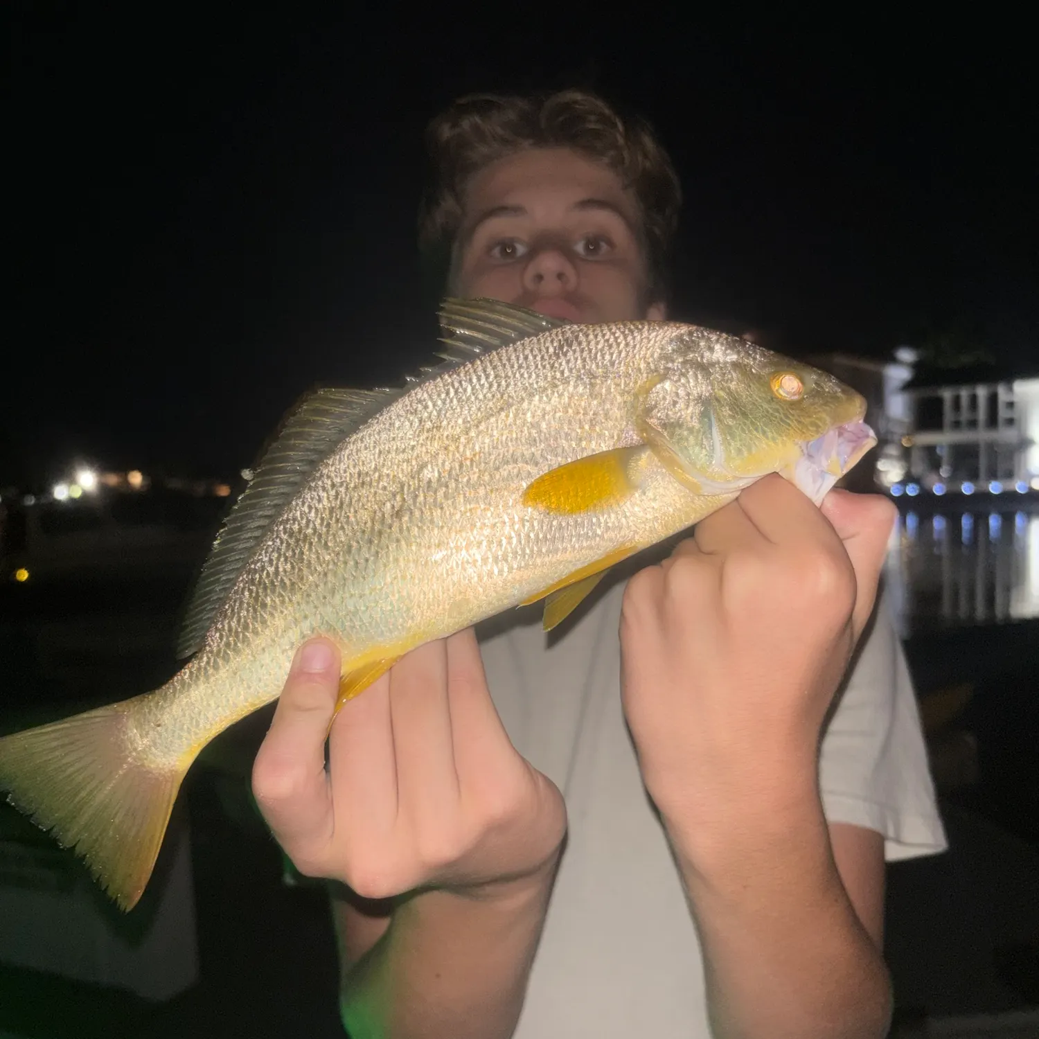 Yellowfin croaker caught on Fishbrain
