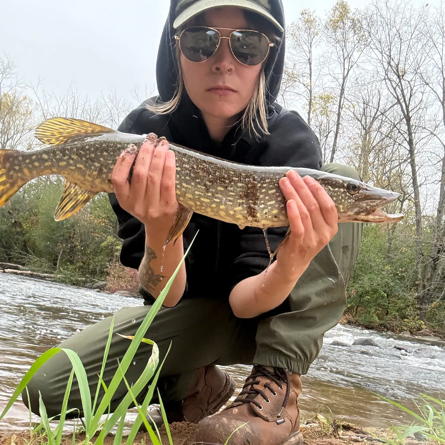 Northern pike caught on Fishbrain