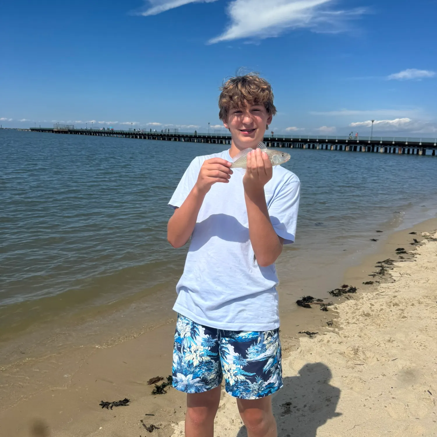 Spotfin croaker caught on Fishbrain