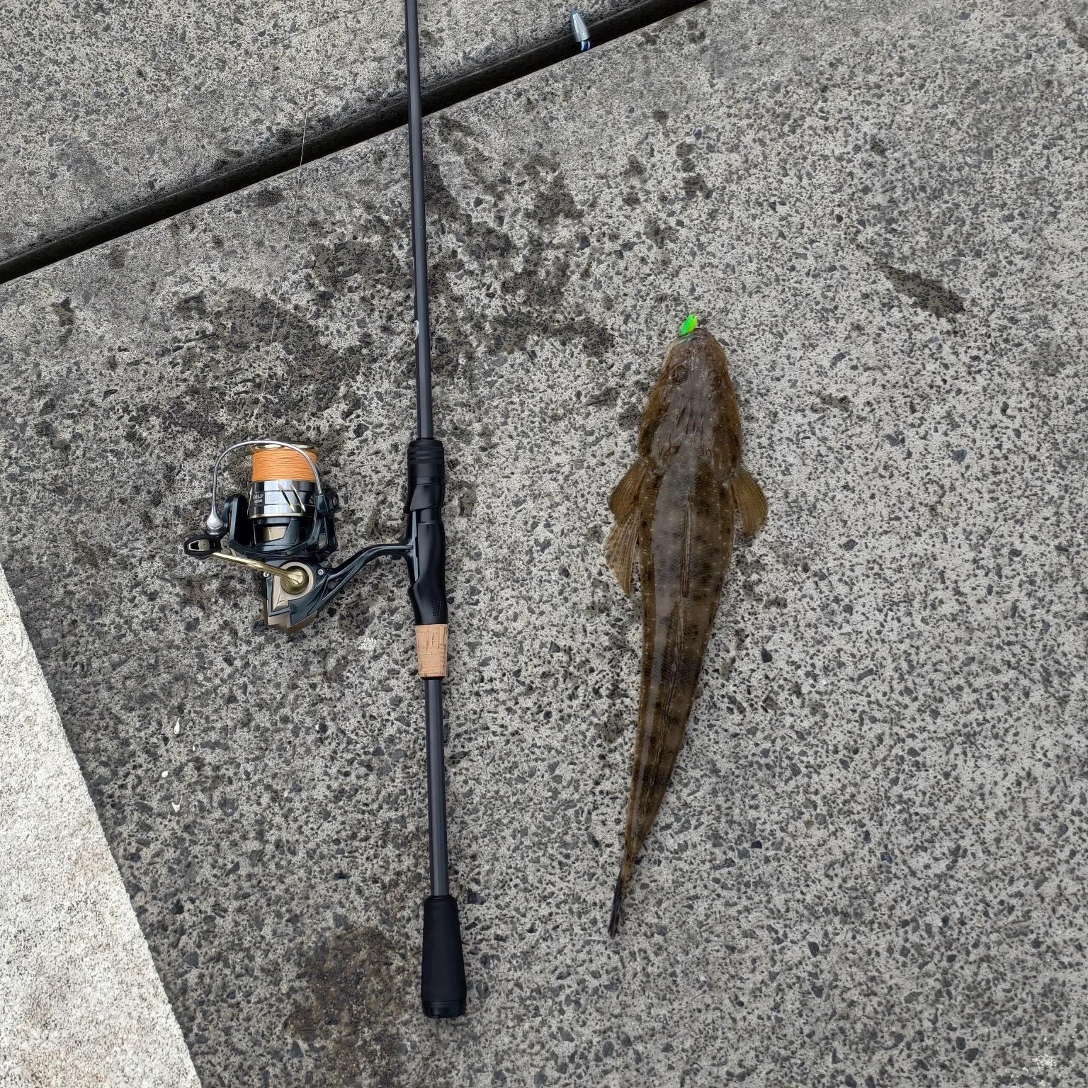 Dusky flathead caught on Fishbrain