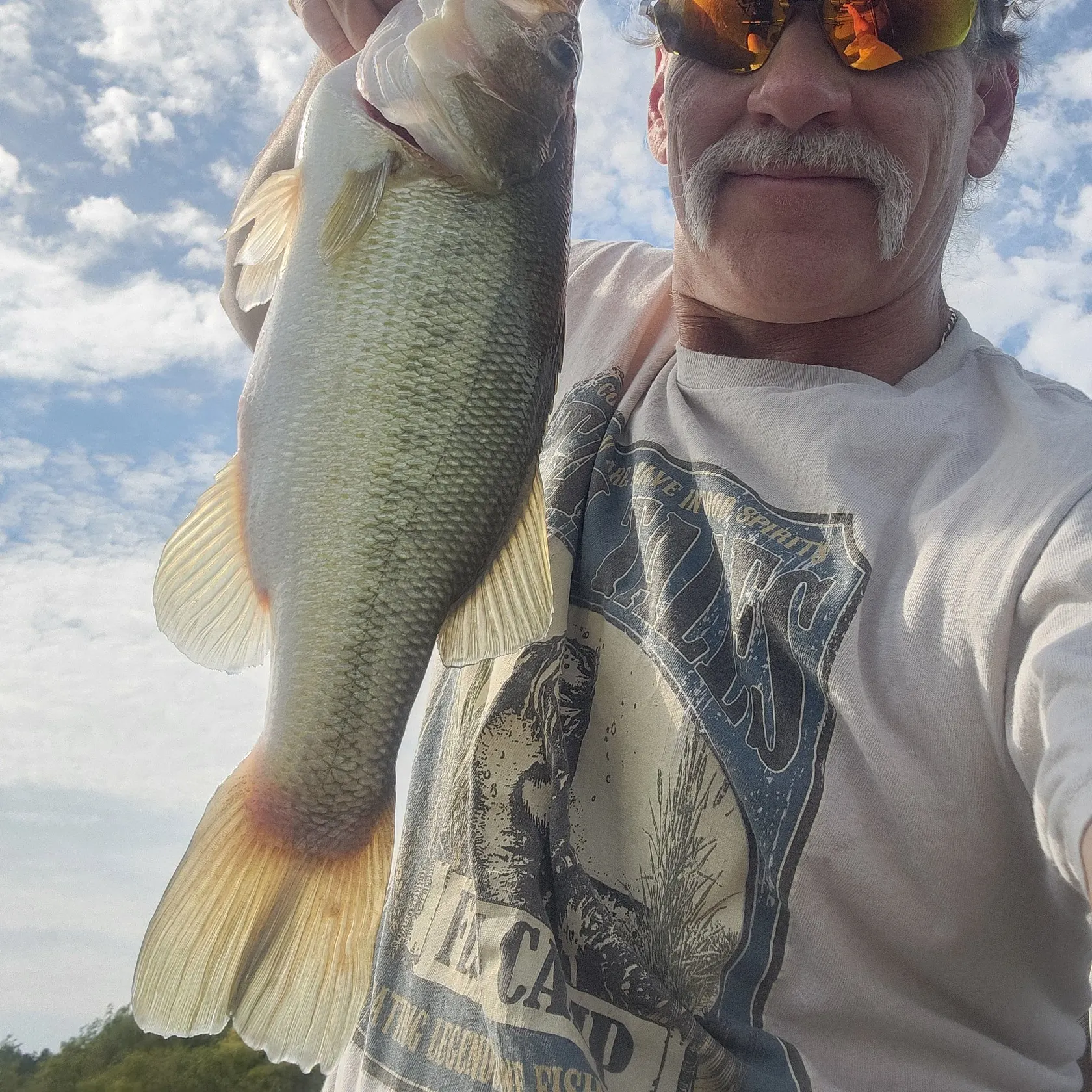 Largemouth bass caught on Fishbrain
