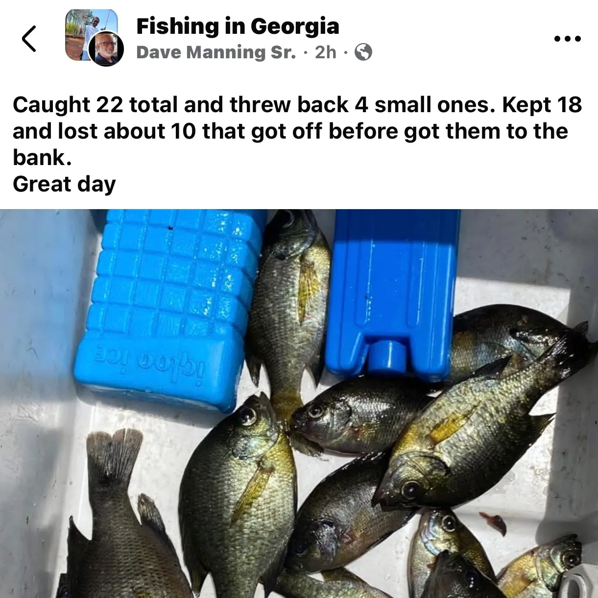 recently logged catches