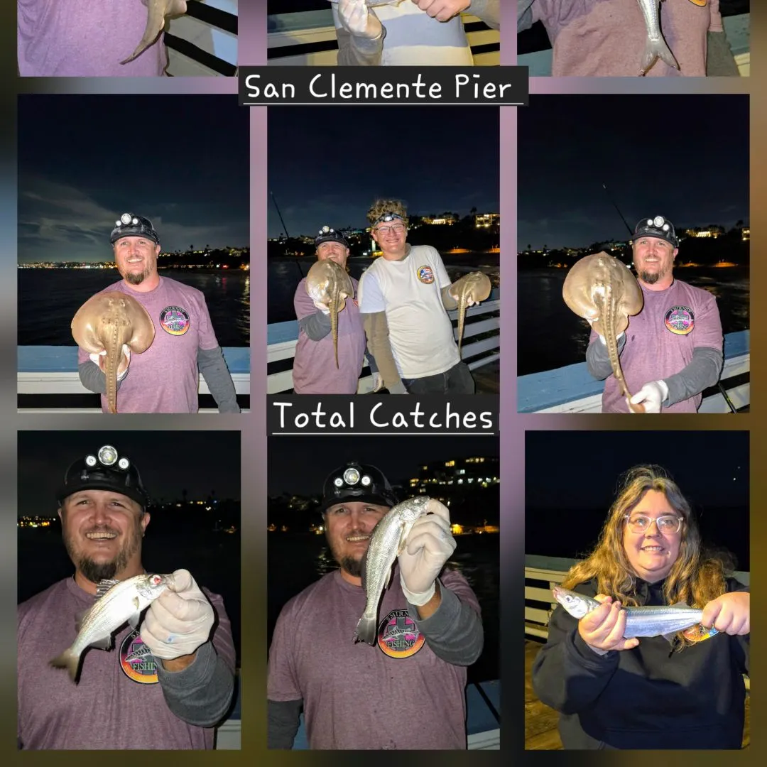 Haller's round ray caught on Fishbrain