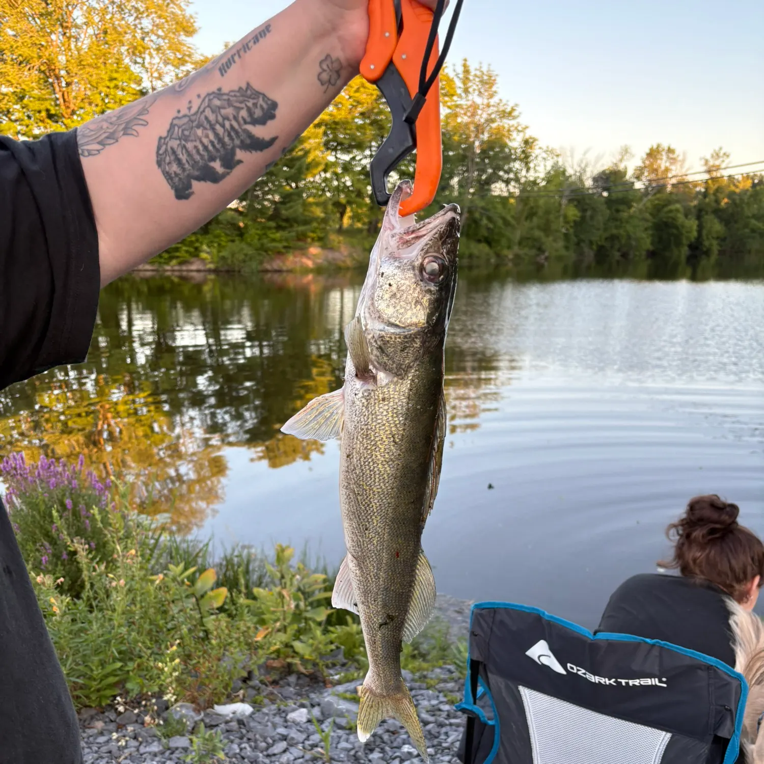 recently logged catches
