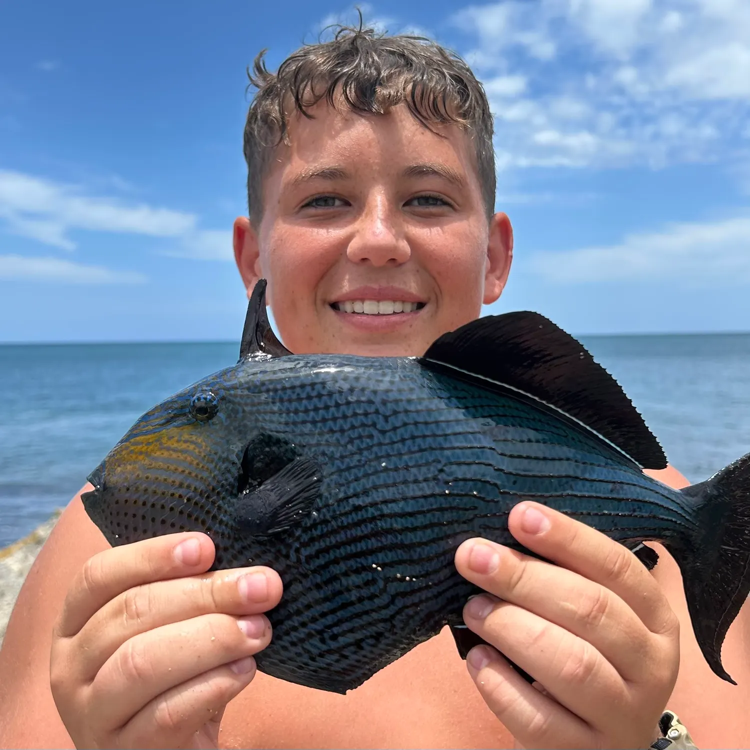 The most recent Indian triggerfish catches on Fishbrain