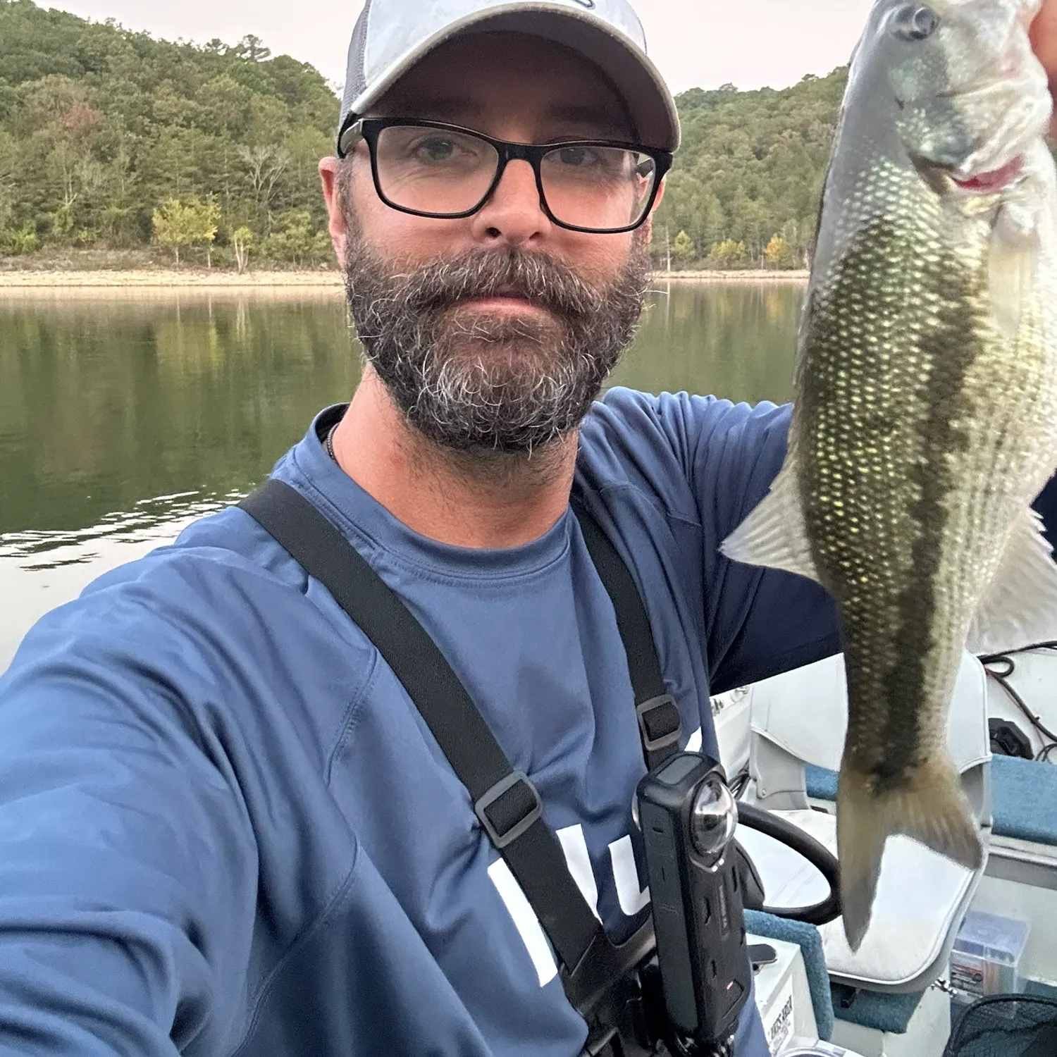 Spotted bass caught on Fishbrain