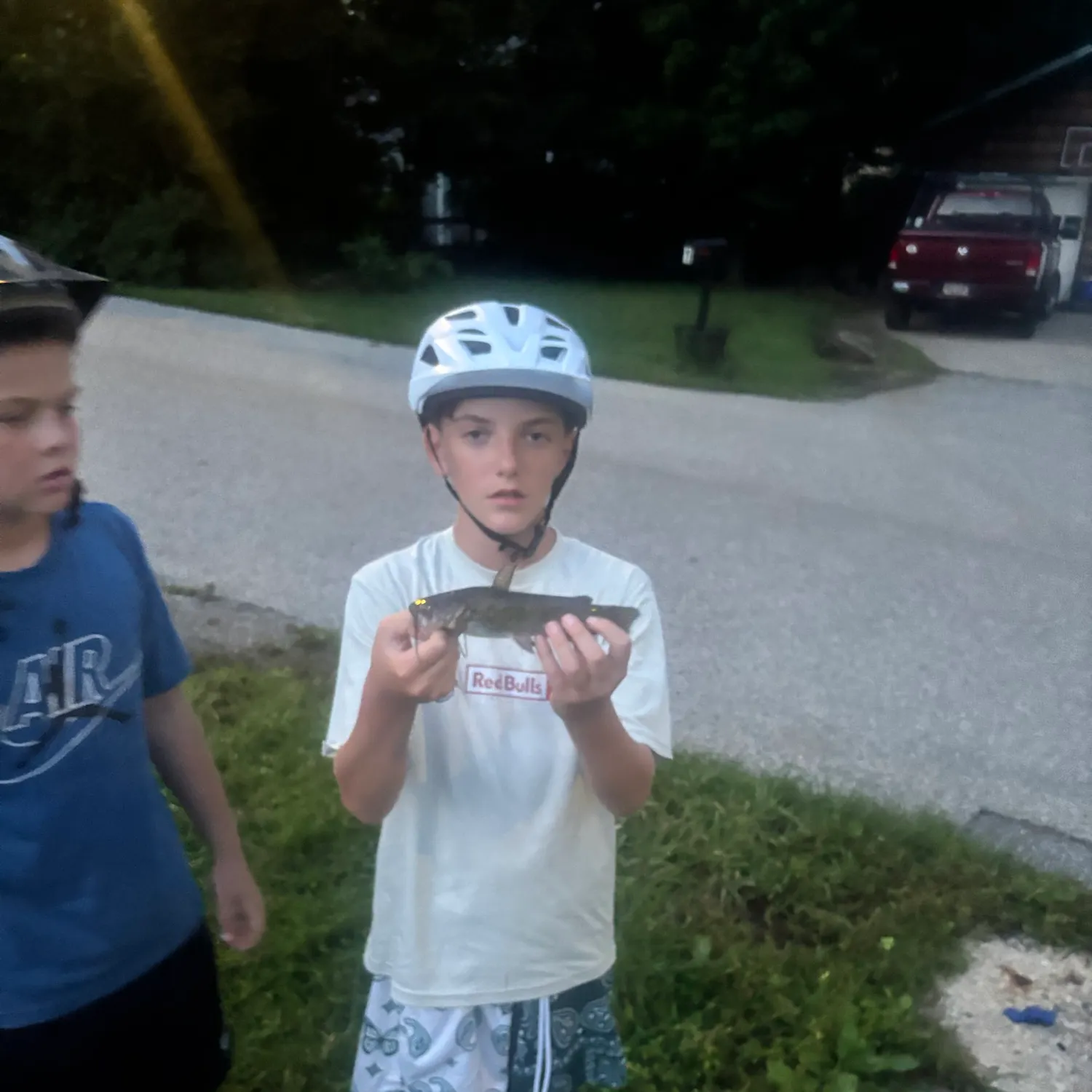 Brown bullhead caught on Fishbrain