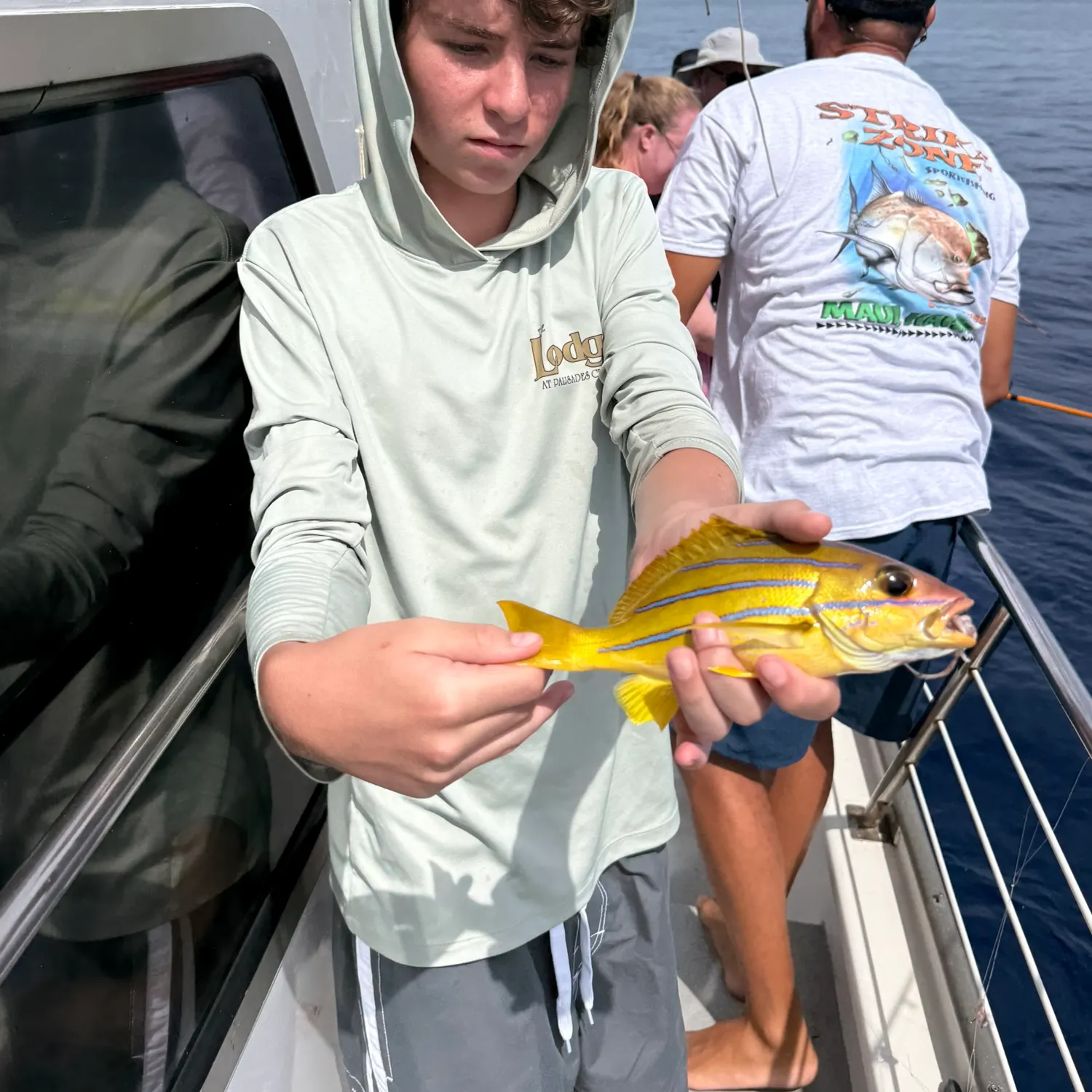 The most recent Common bluestripe snapper catches on Fishbrain