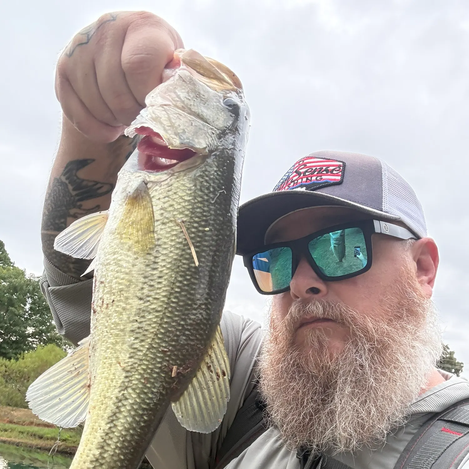 Largemouth bass caught on Fishbrain