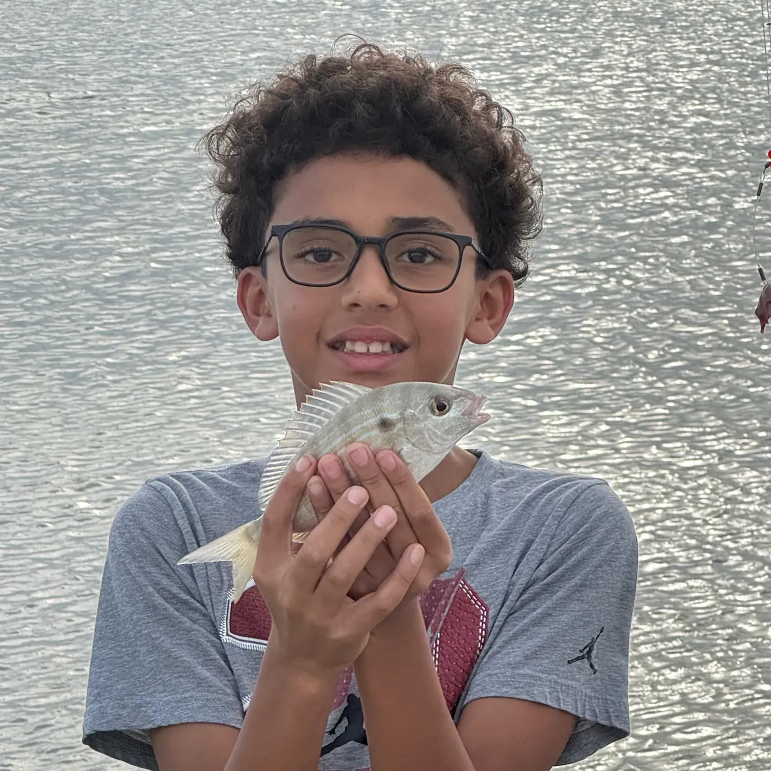 Pinfish caught on Fishbrain
