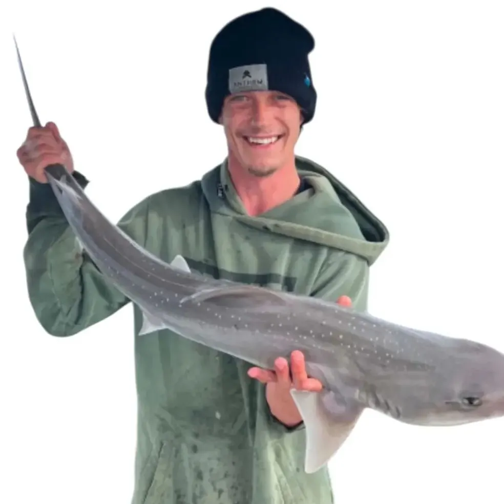 The most recent Gummy shark catches on Fishbrain