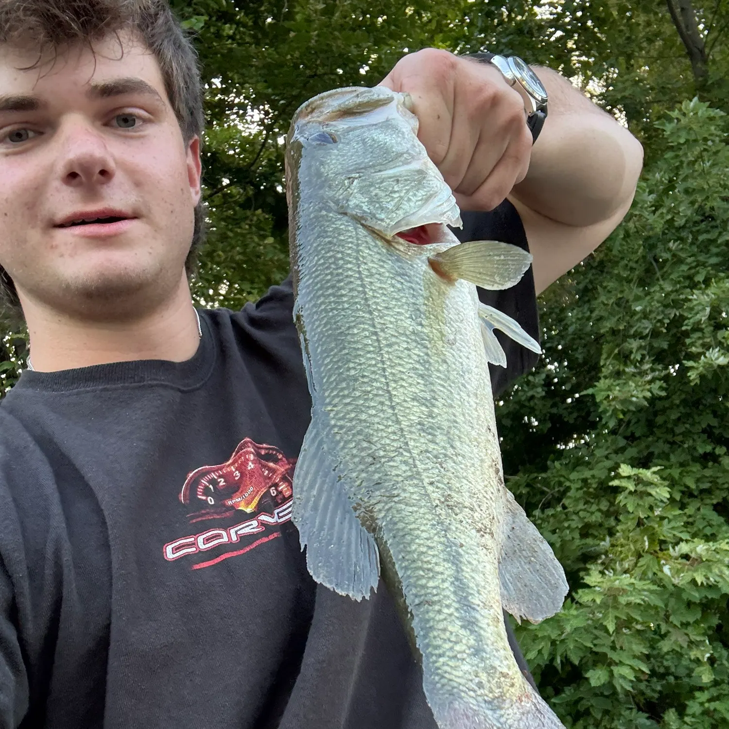 Largemouth bass caught on Fishbrain