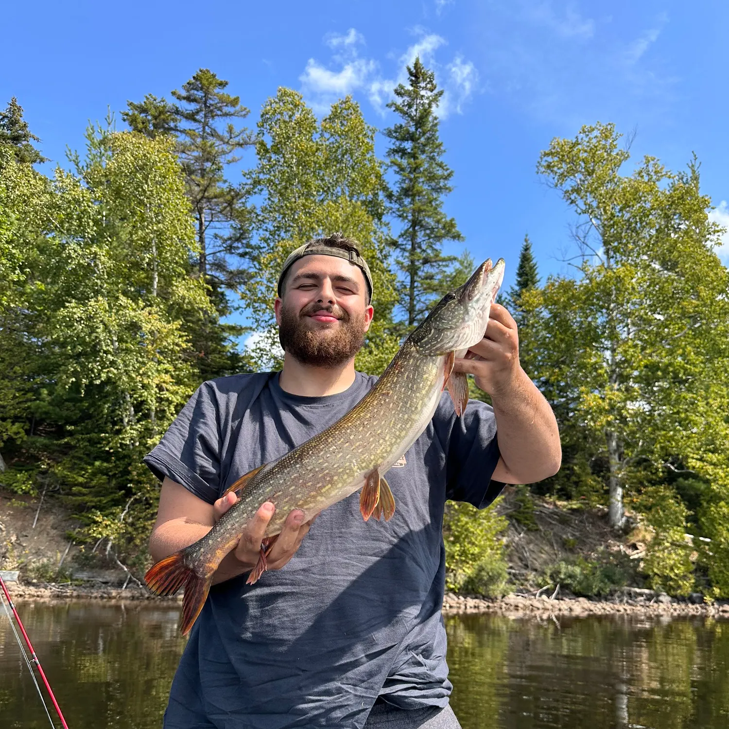 Northern pike caught on Fishbrain