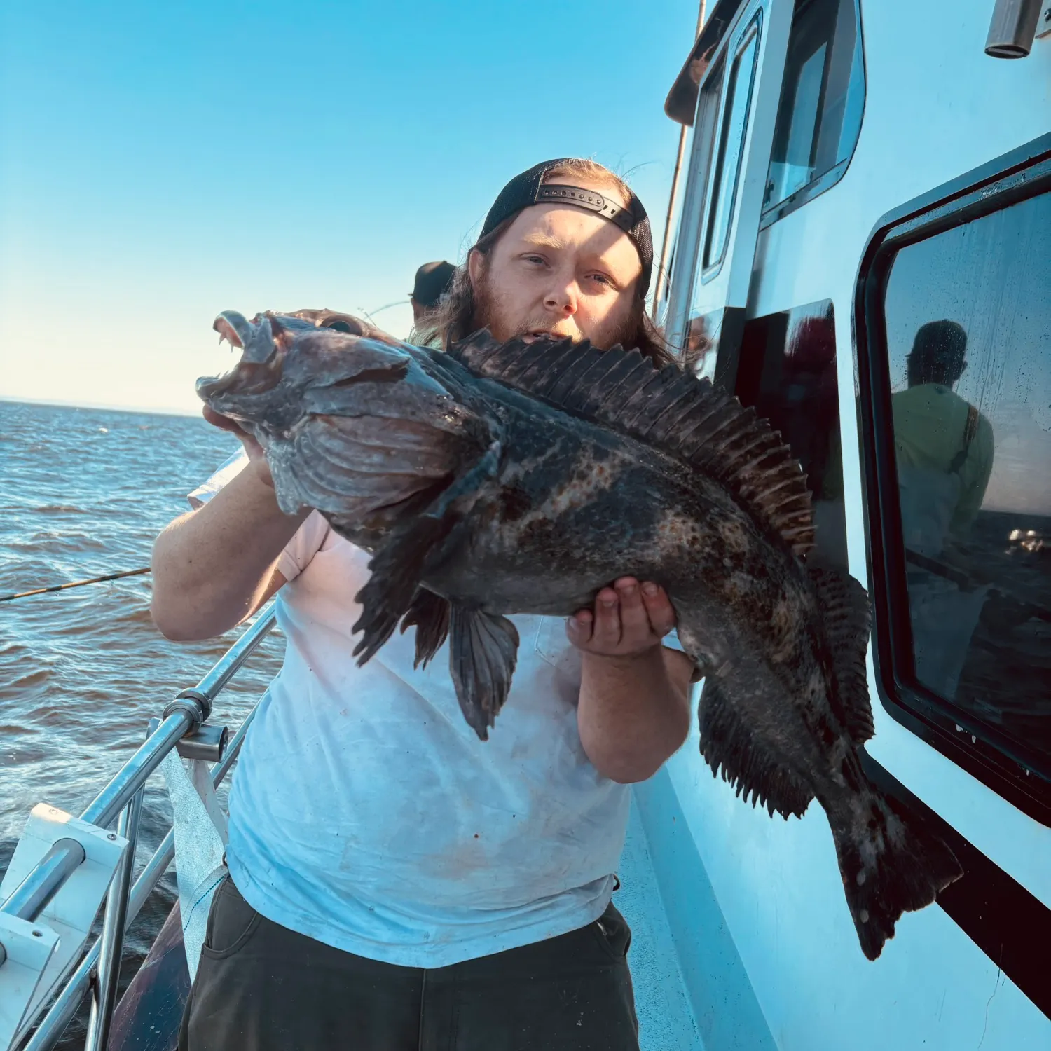 The most recent Lingcod catches on Fishbrain