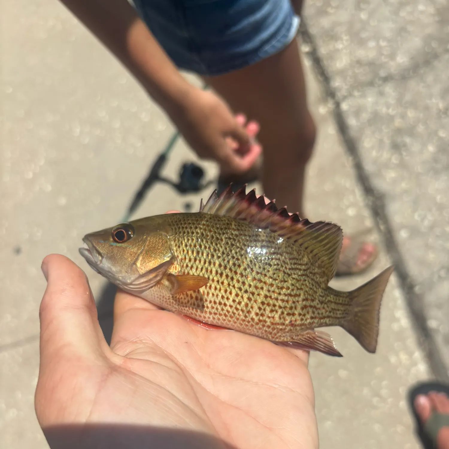 catch