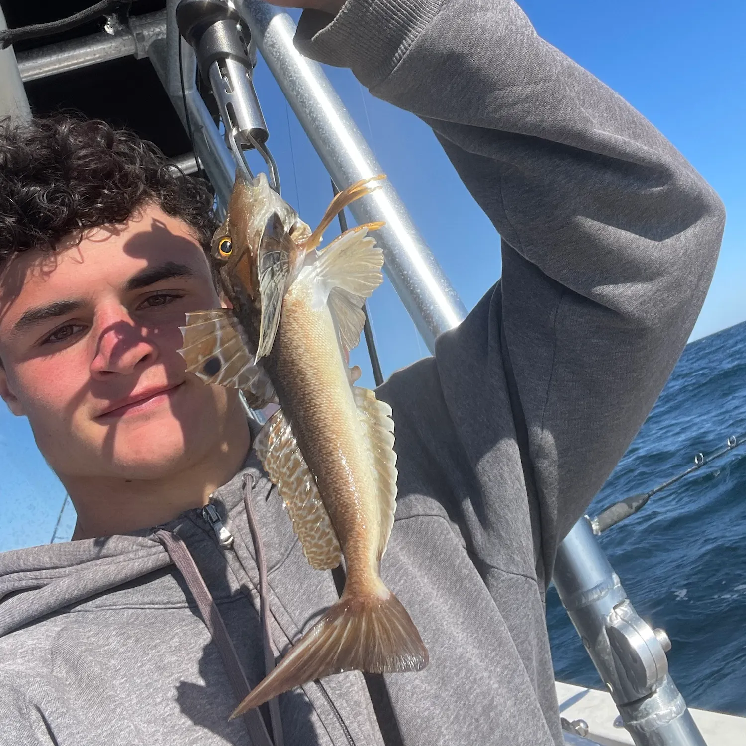 Northern searobin caught on Fishbrain