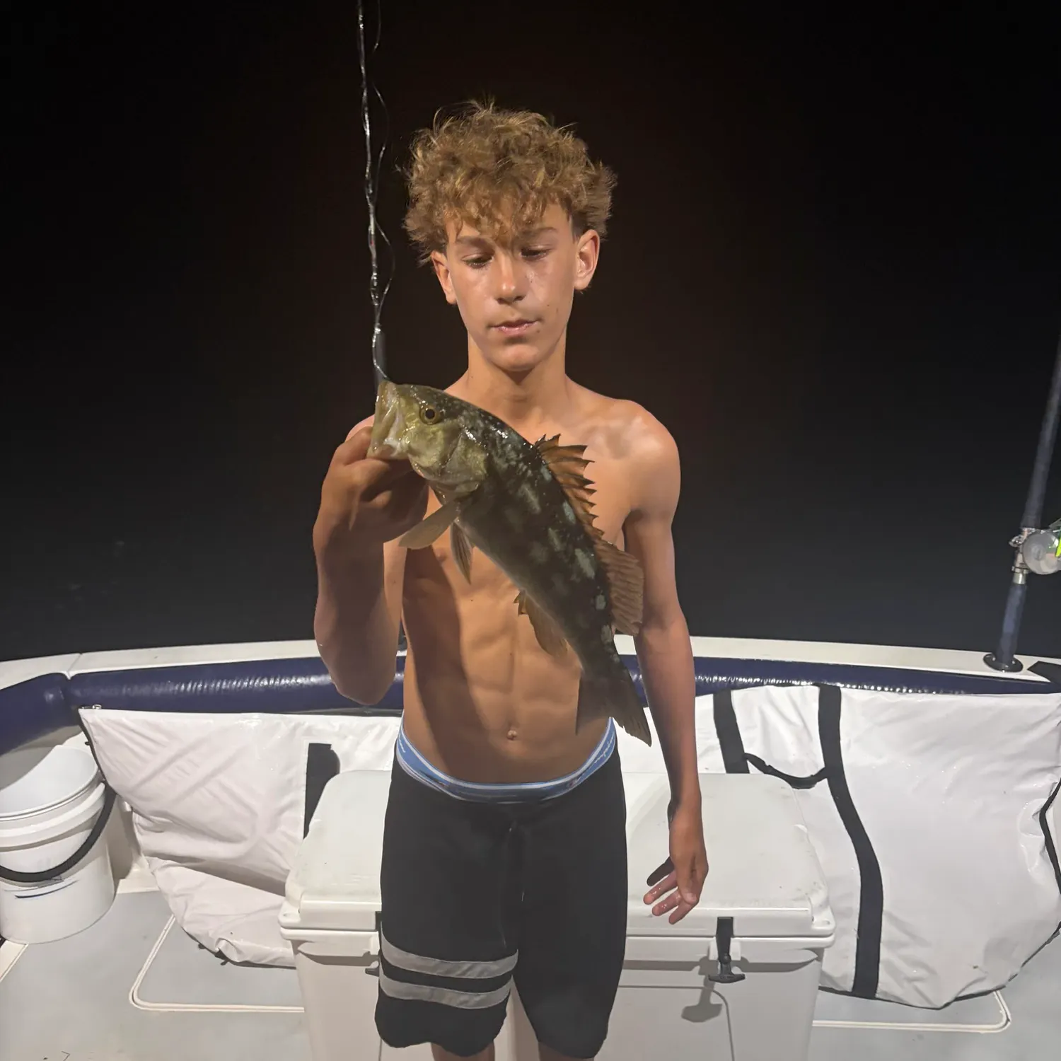 Kelp bass caught on Fishbrain