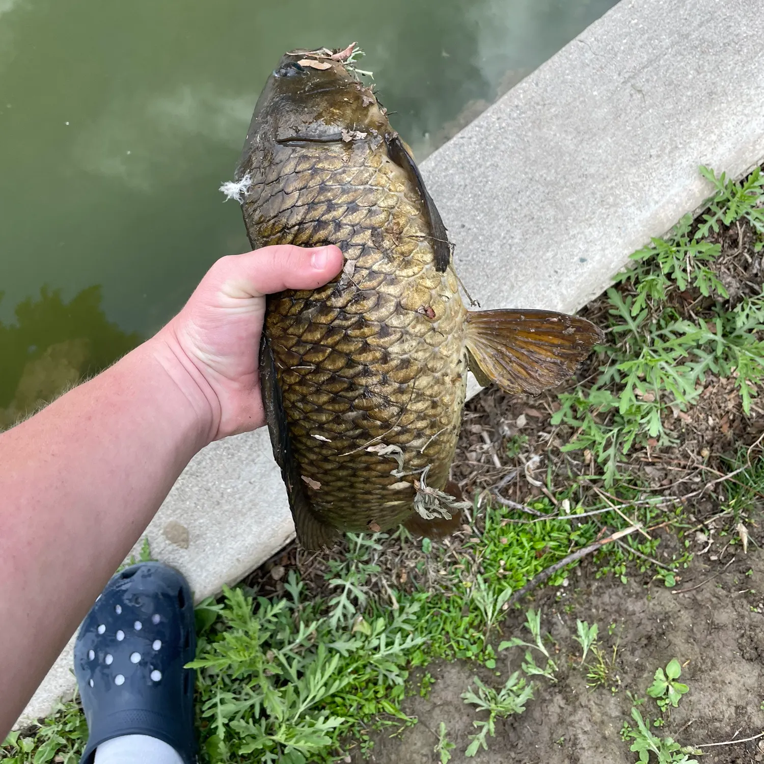 catch