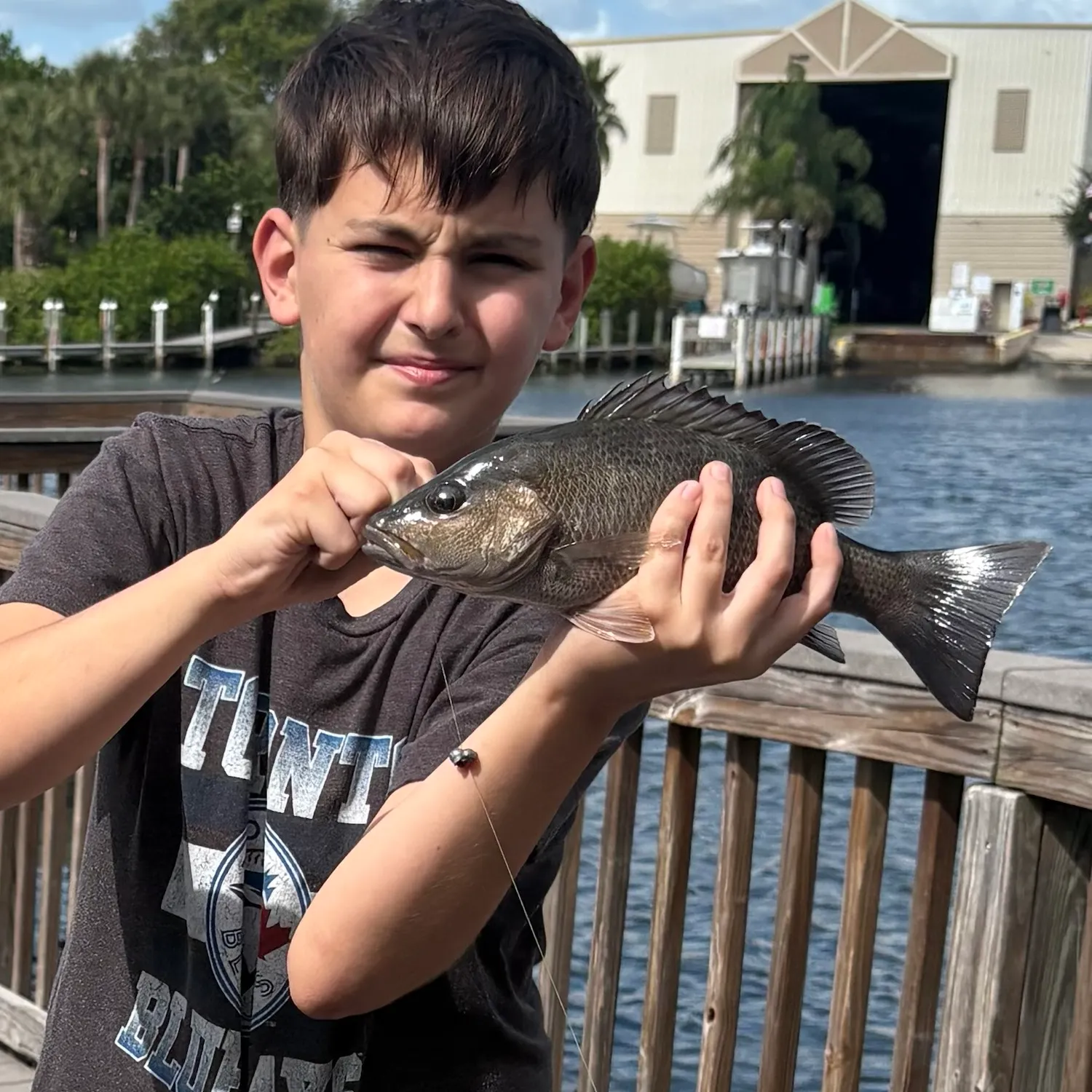 Mangrove snapper caught on Fishbrain