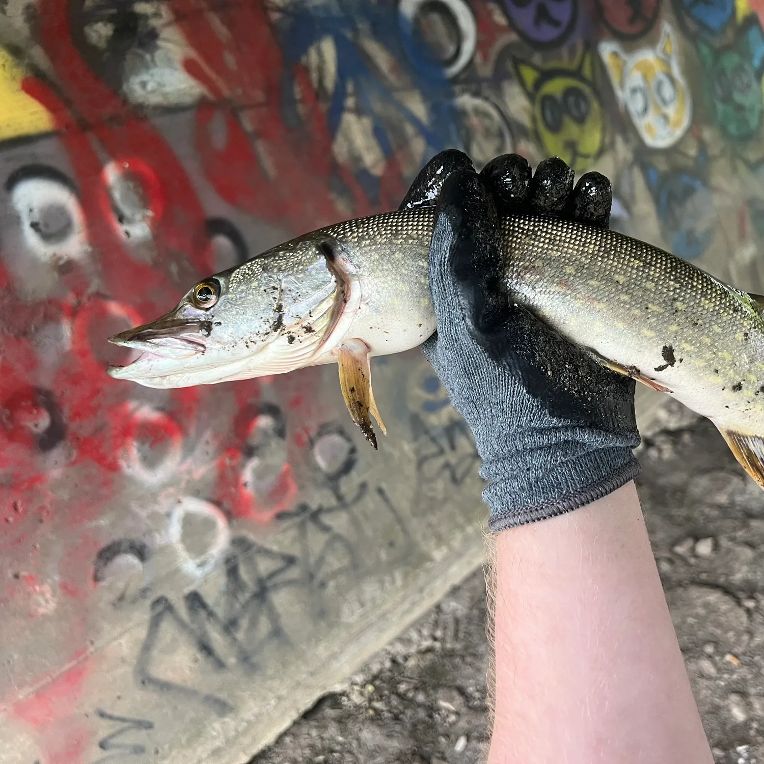 catch