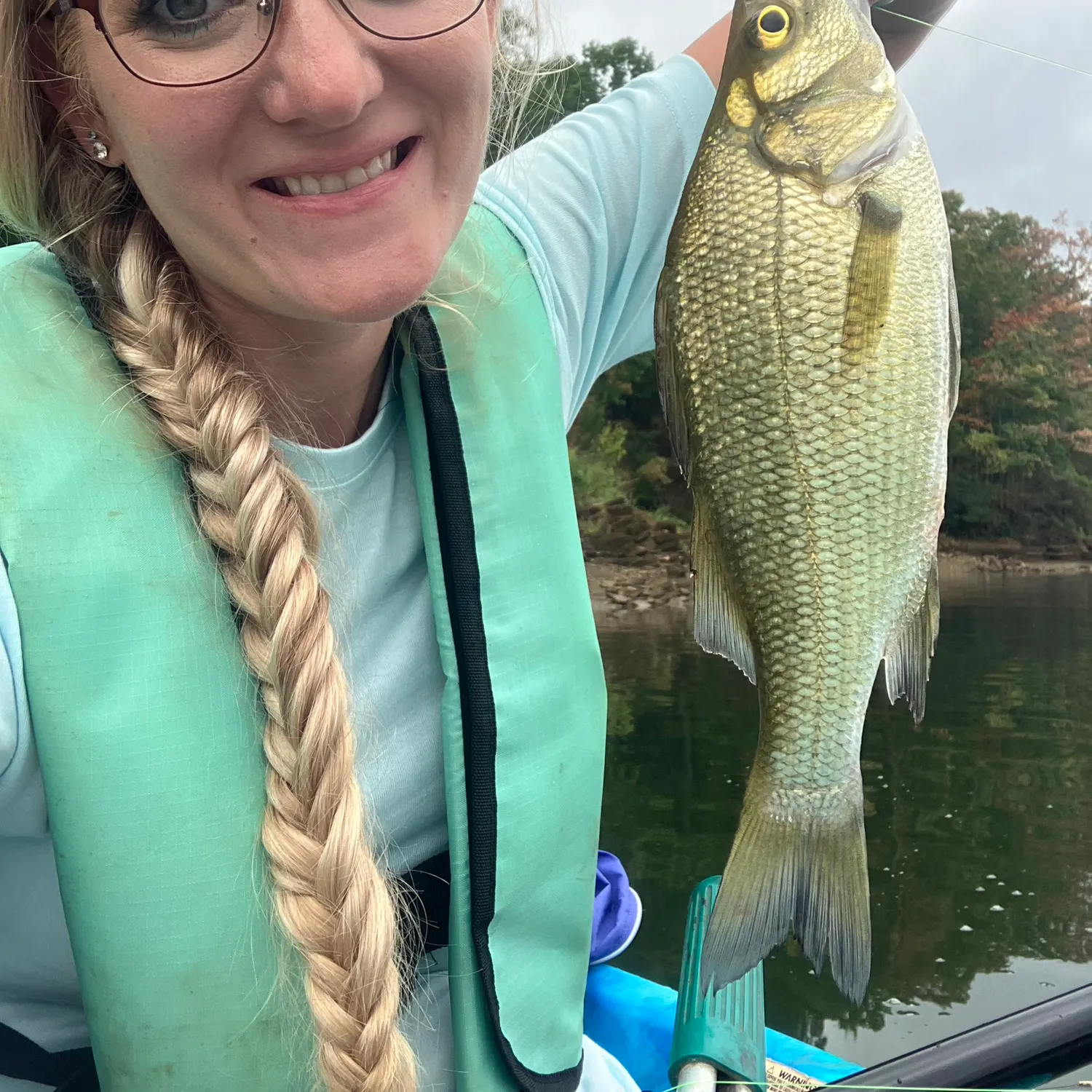 White bass caught on Fishbrain