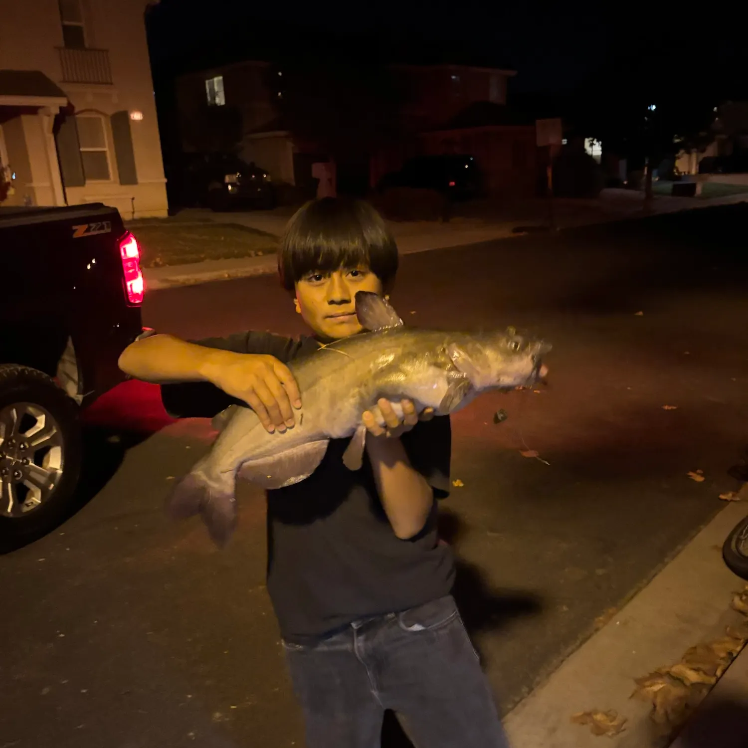 Channel catfish caught on Fishbrain