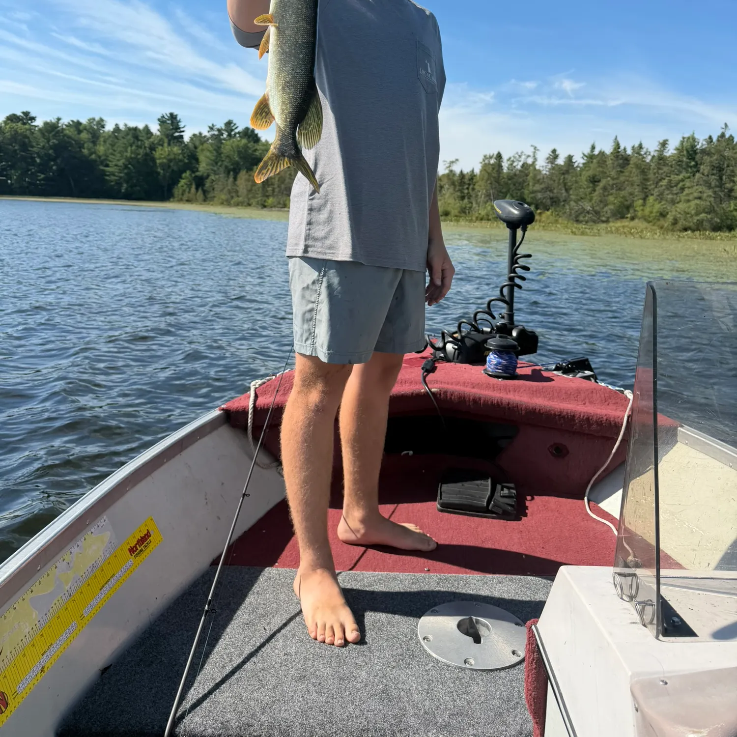 Northern pike caught on Fishbrain