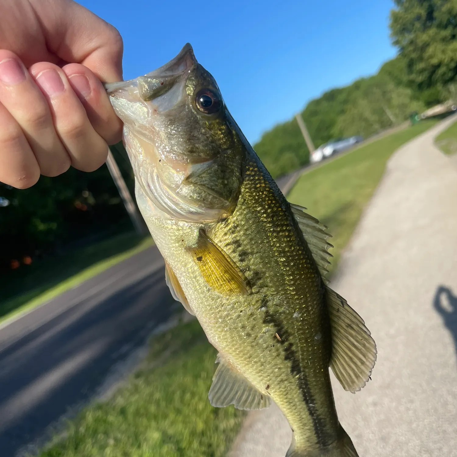 catch