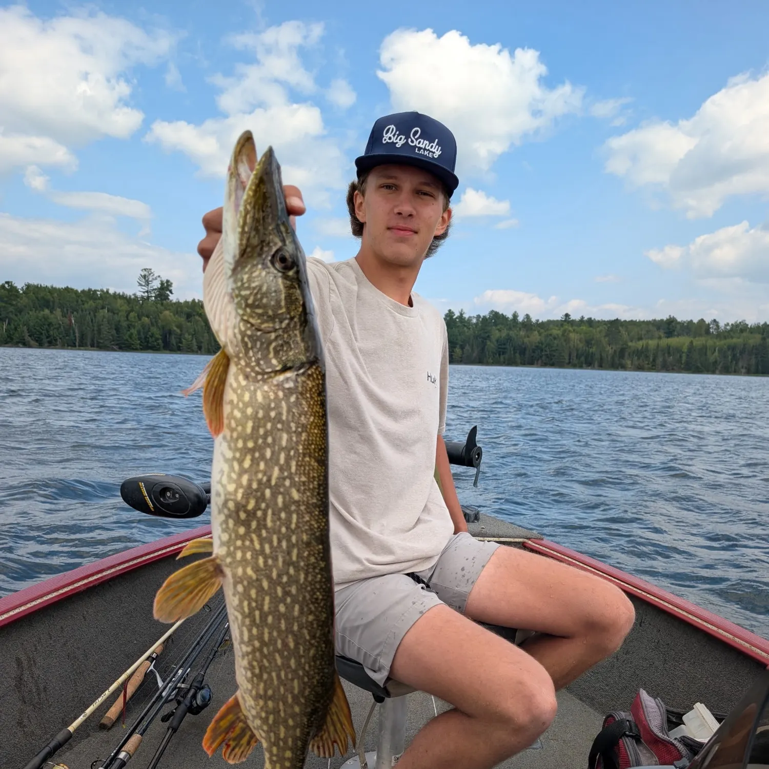 Northern pike caught on Fishbrain