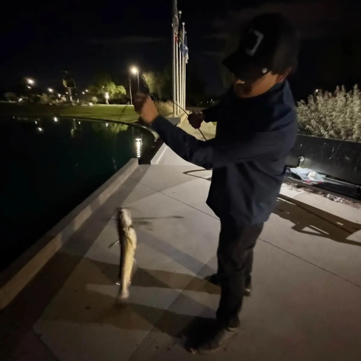 Channel catfish caught on Fishbrain