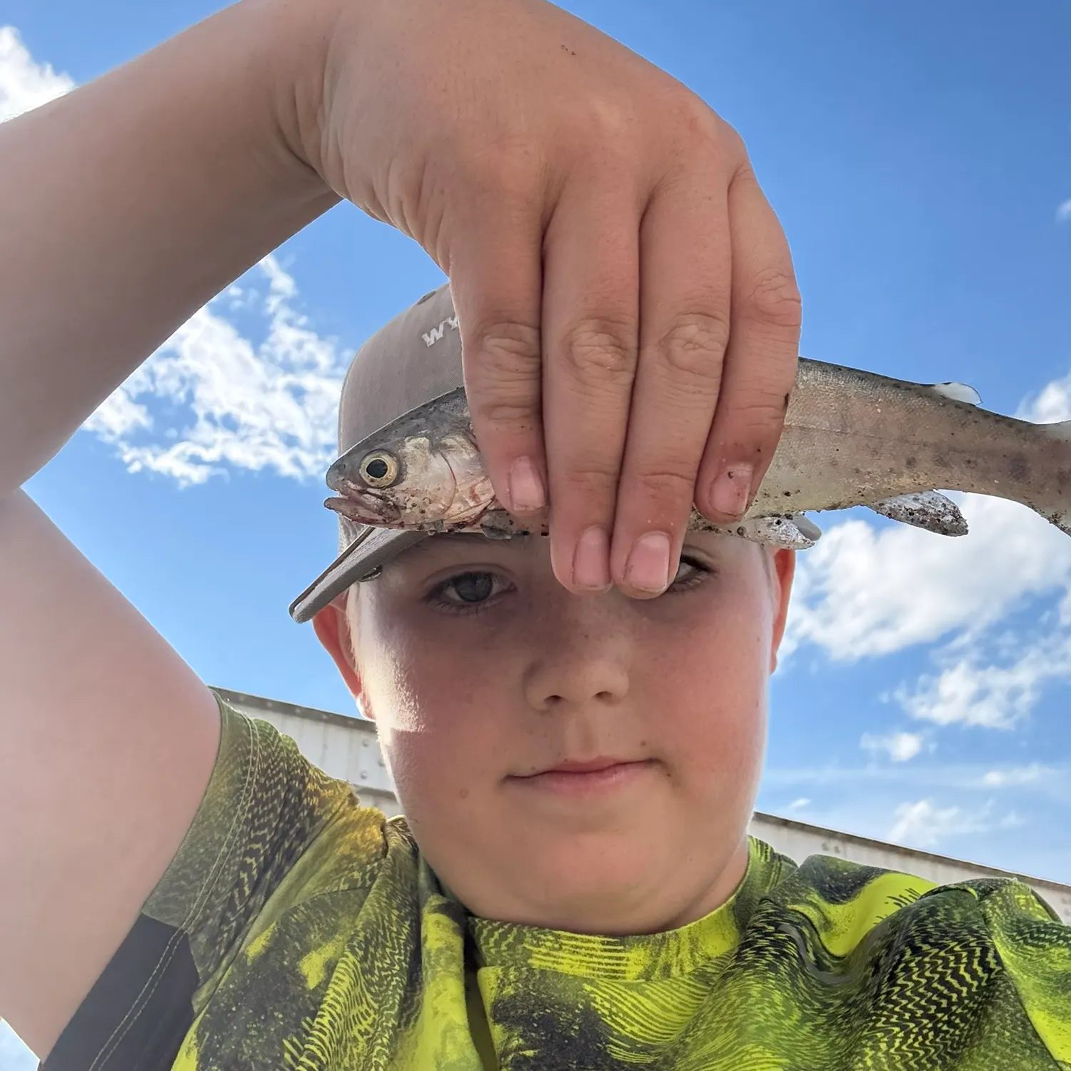 Rainbow trout caught on Fishbrain