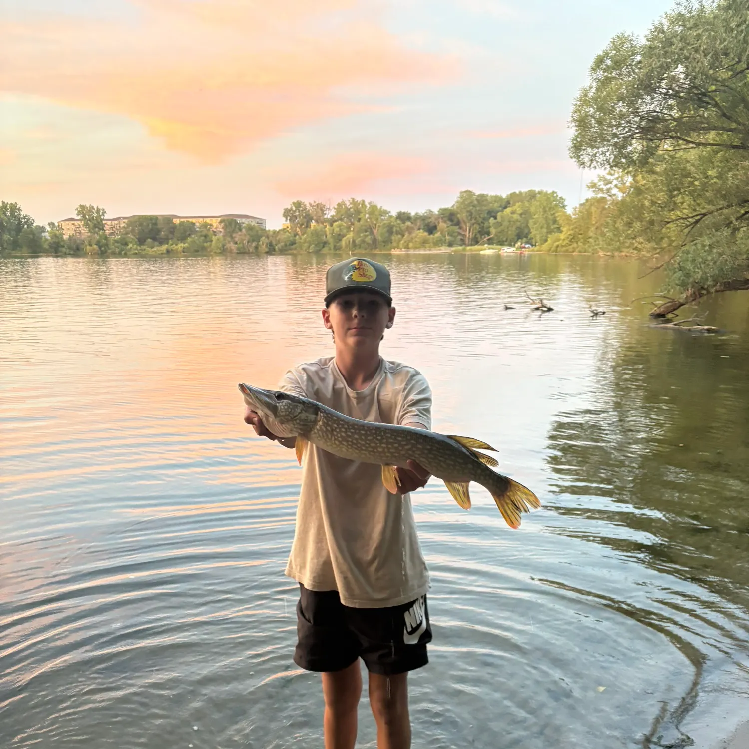 Northern pike caught on Fishbrain