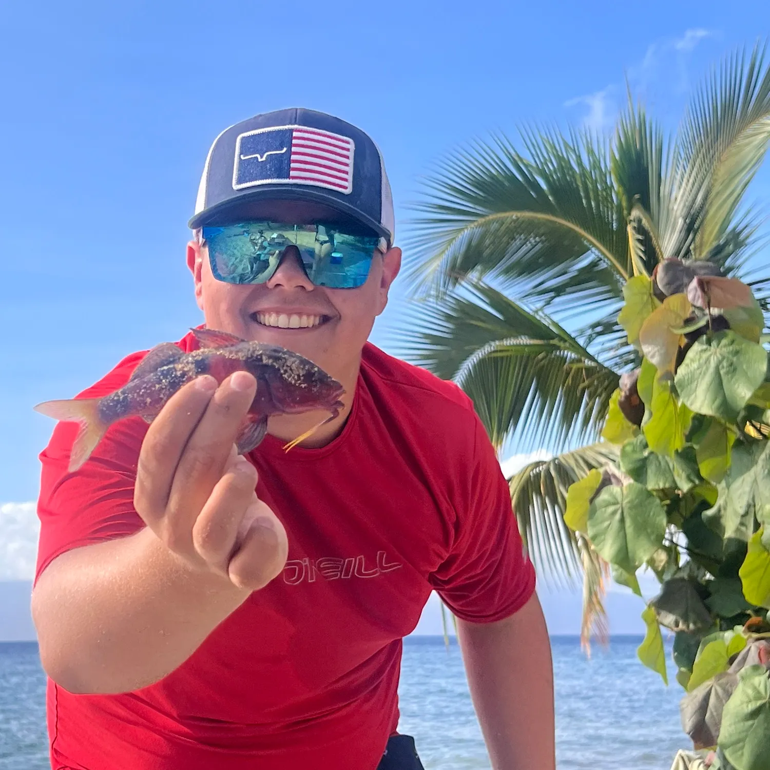 The most recent Manybar goatfish catches on Fishbrain