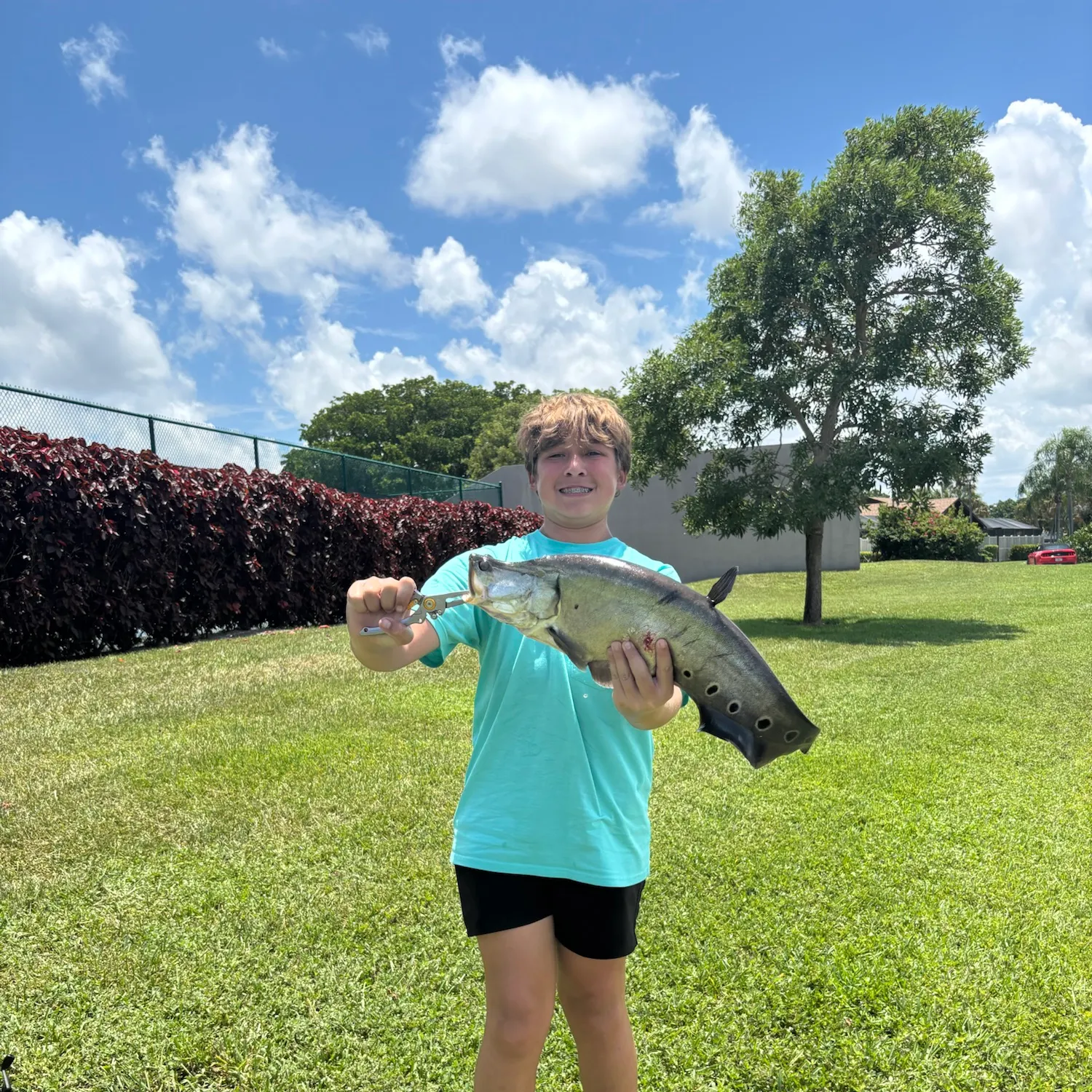 The most recent Clown knifefish catches on Fishbrain