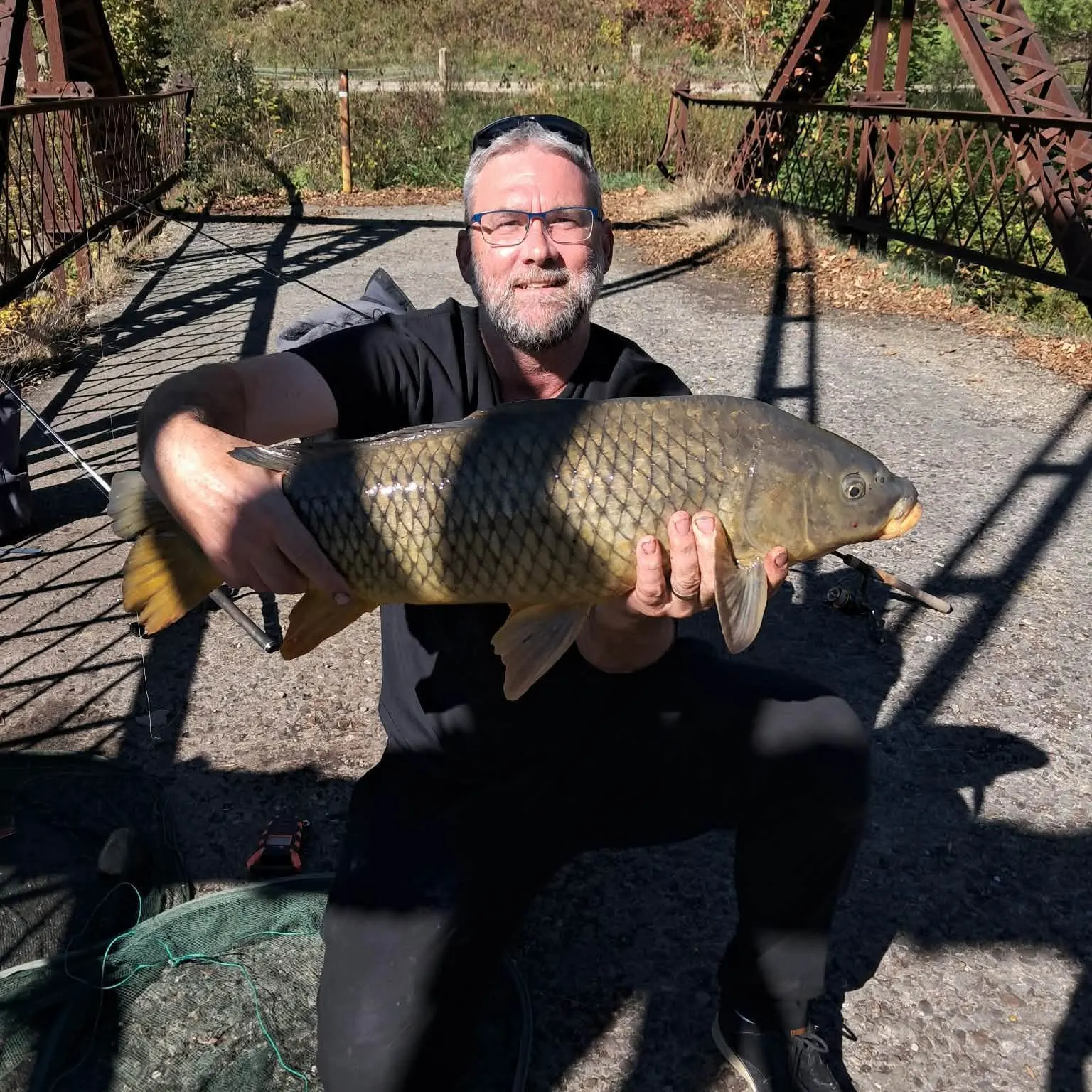 Common carp caught on Fishbrain