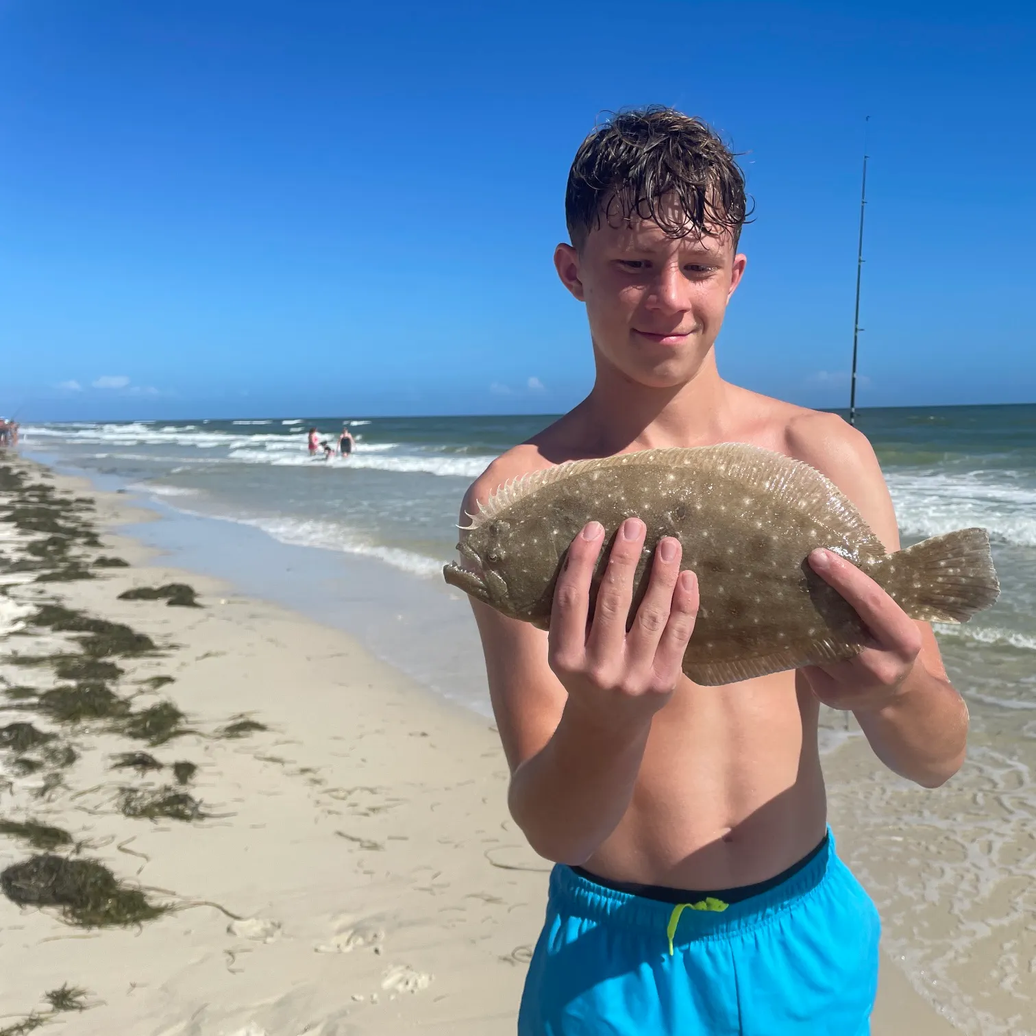 The most recent Summer flounder catches on Fishbrain