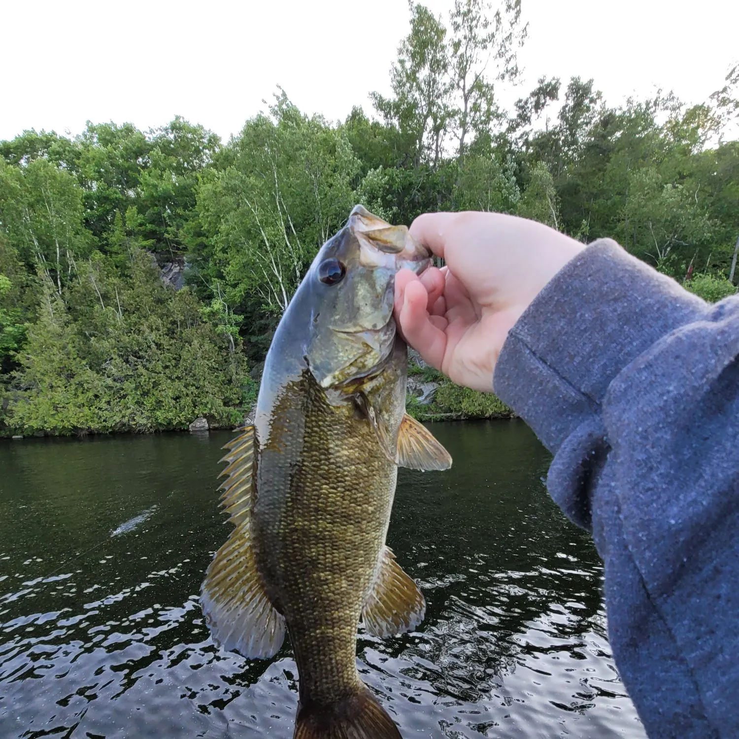 most liked catch image