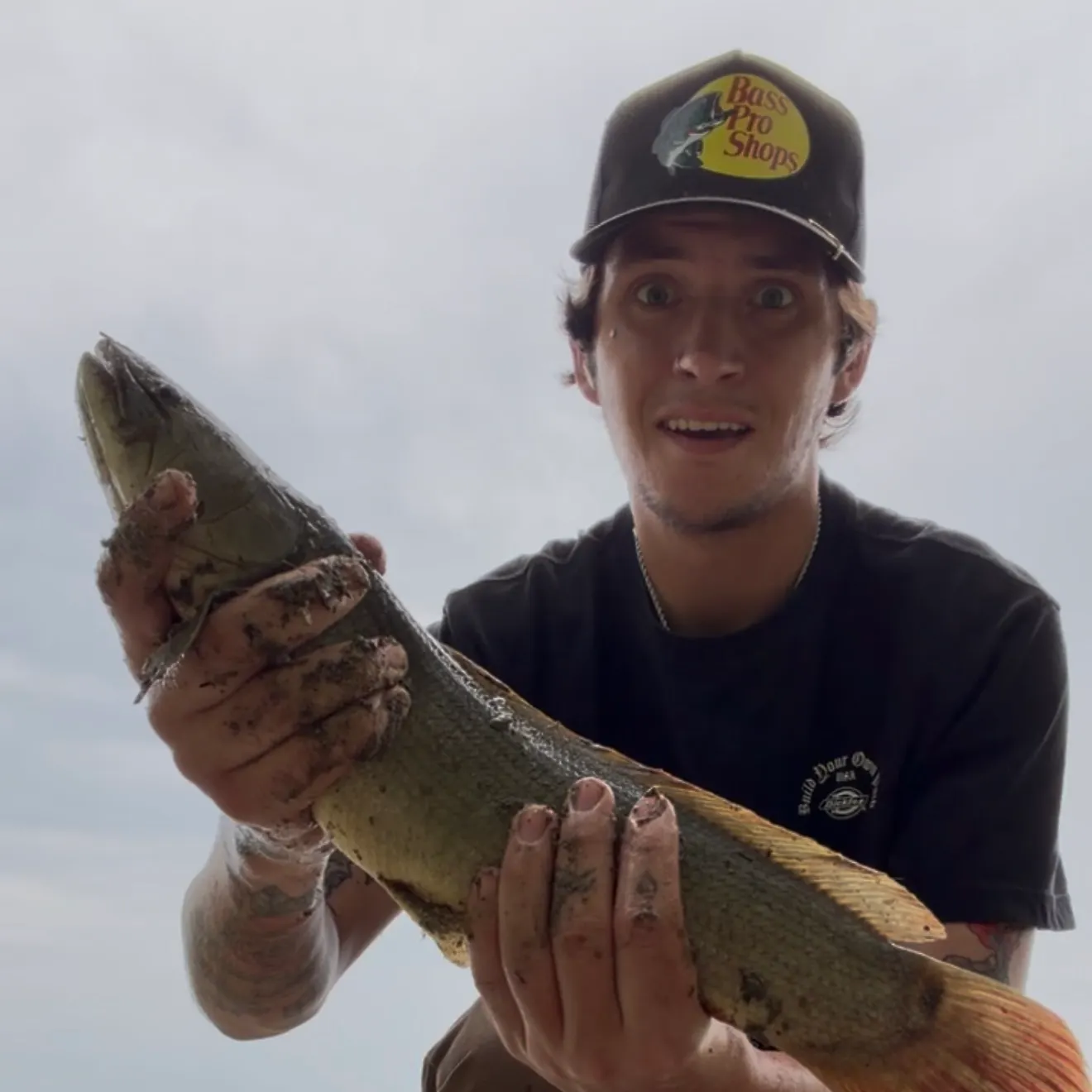 Eyetail bowfin caught on Fishbrain