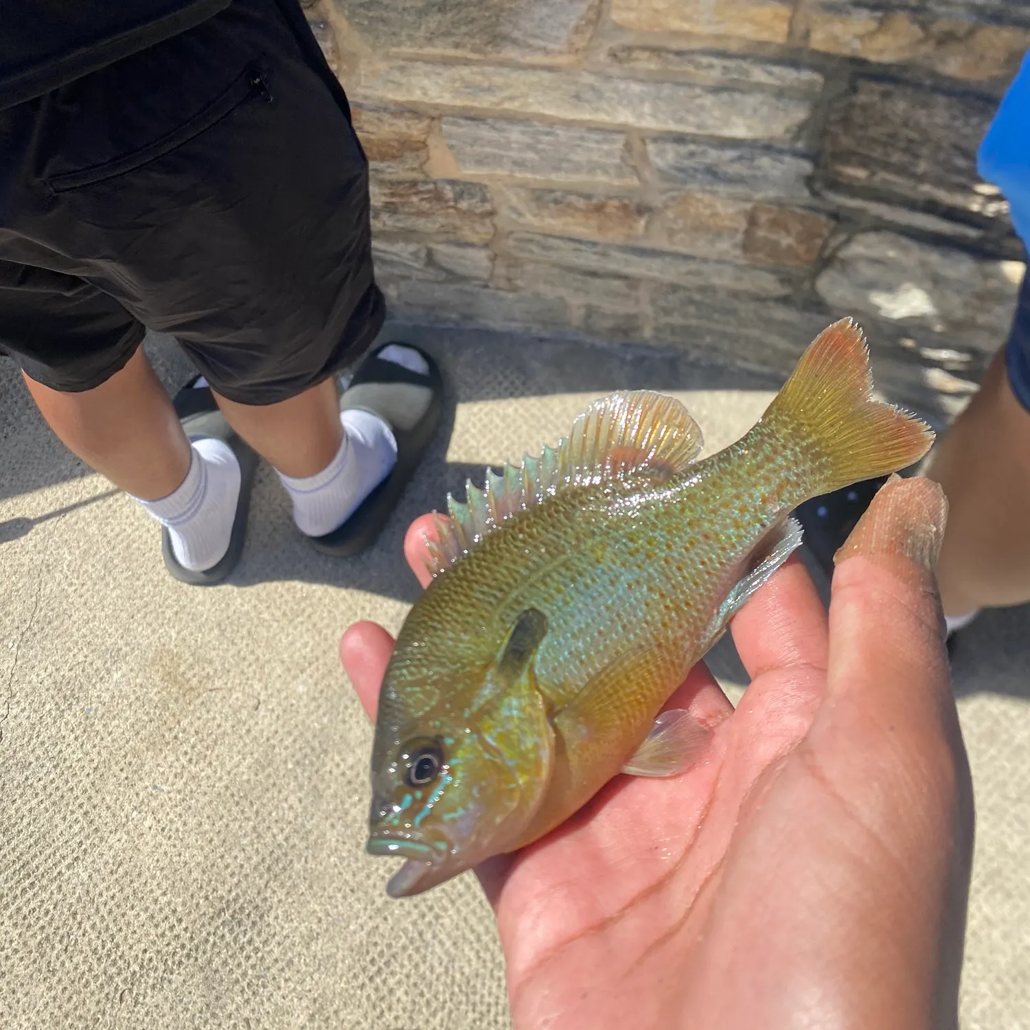 catch